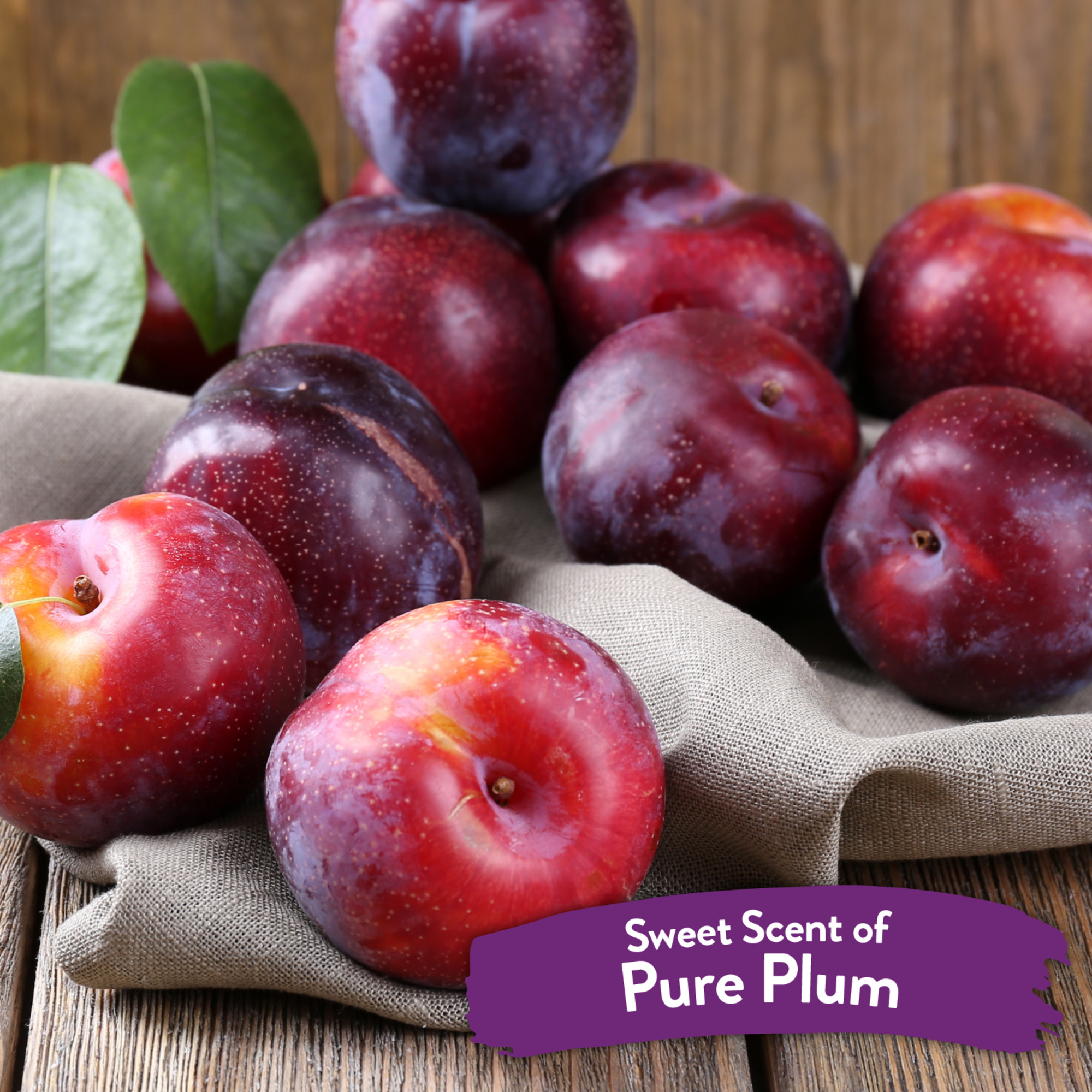 Pure Plum Deodorizing Pet Spray