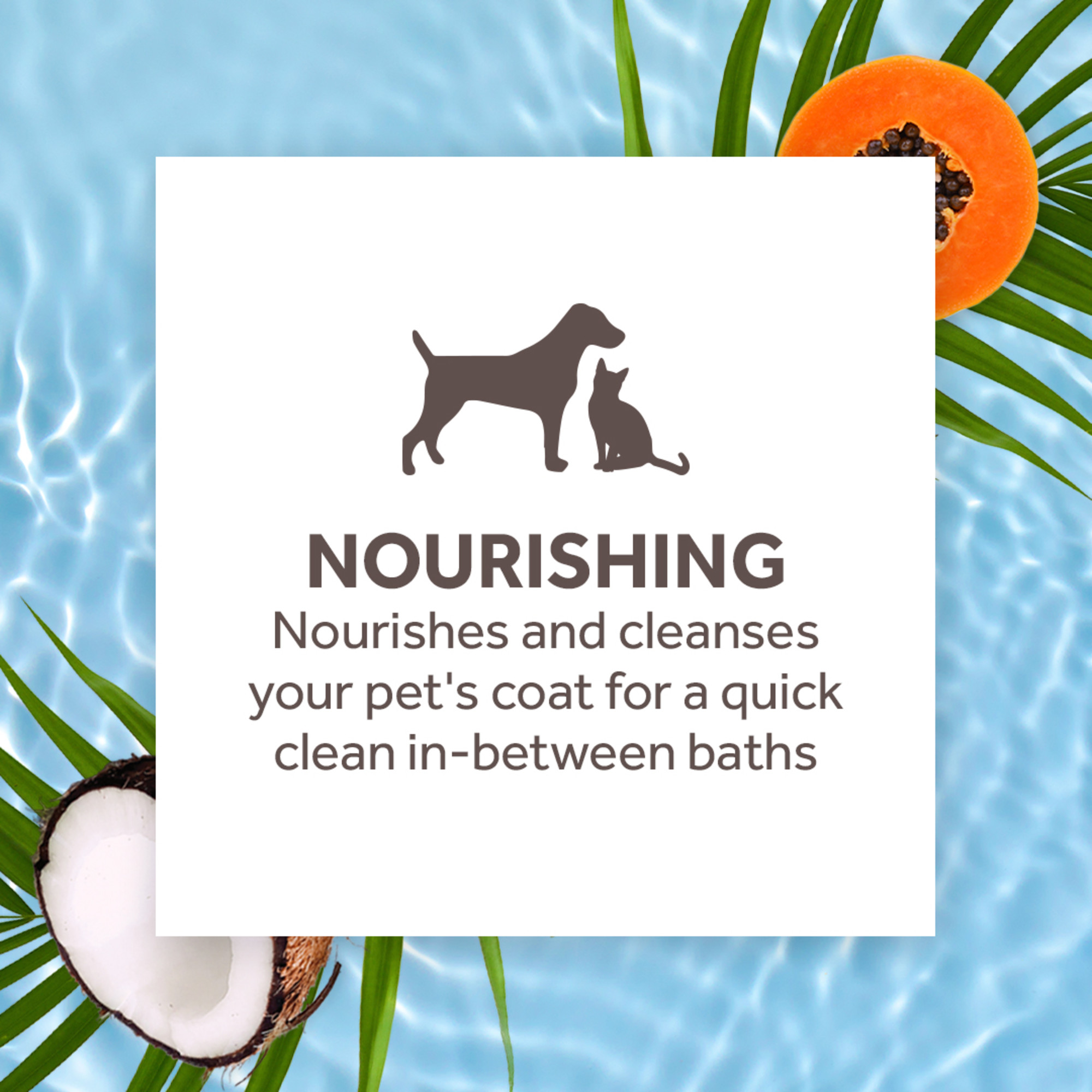 Papaya & Coconut Waterless Shampoo for Pets