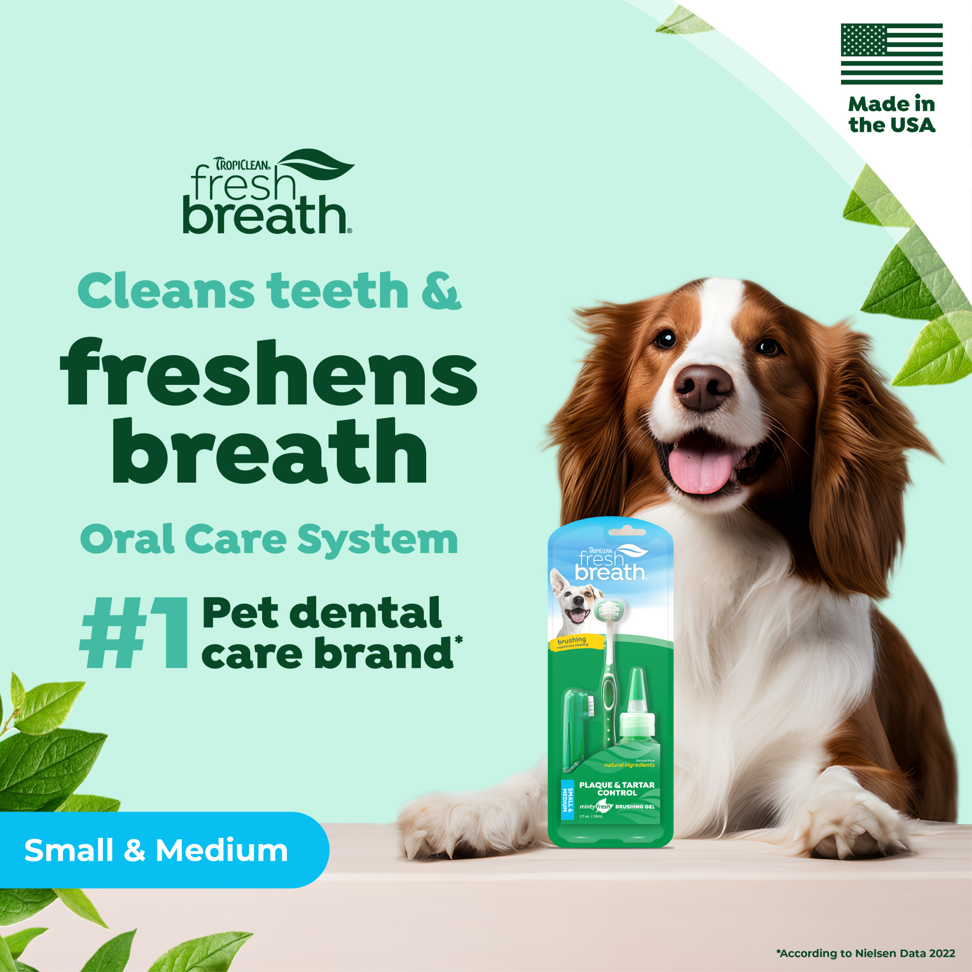 Oral Care Kit for Small/Medium Dogs