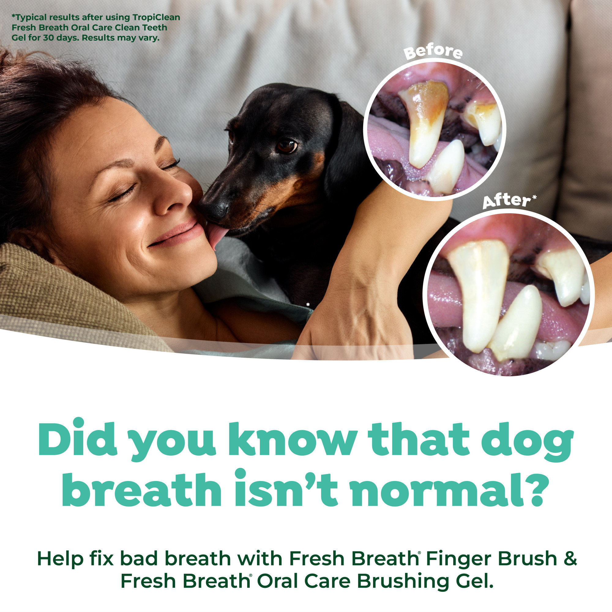 Finger Brushes for Dogs