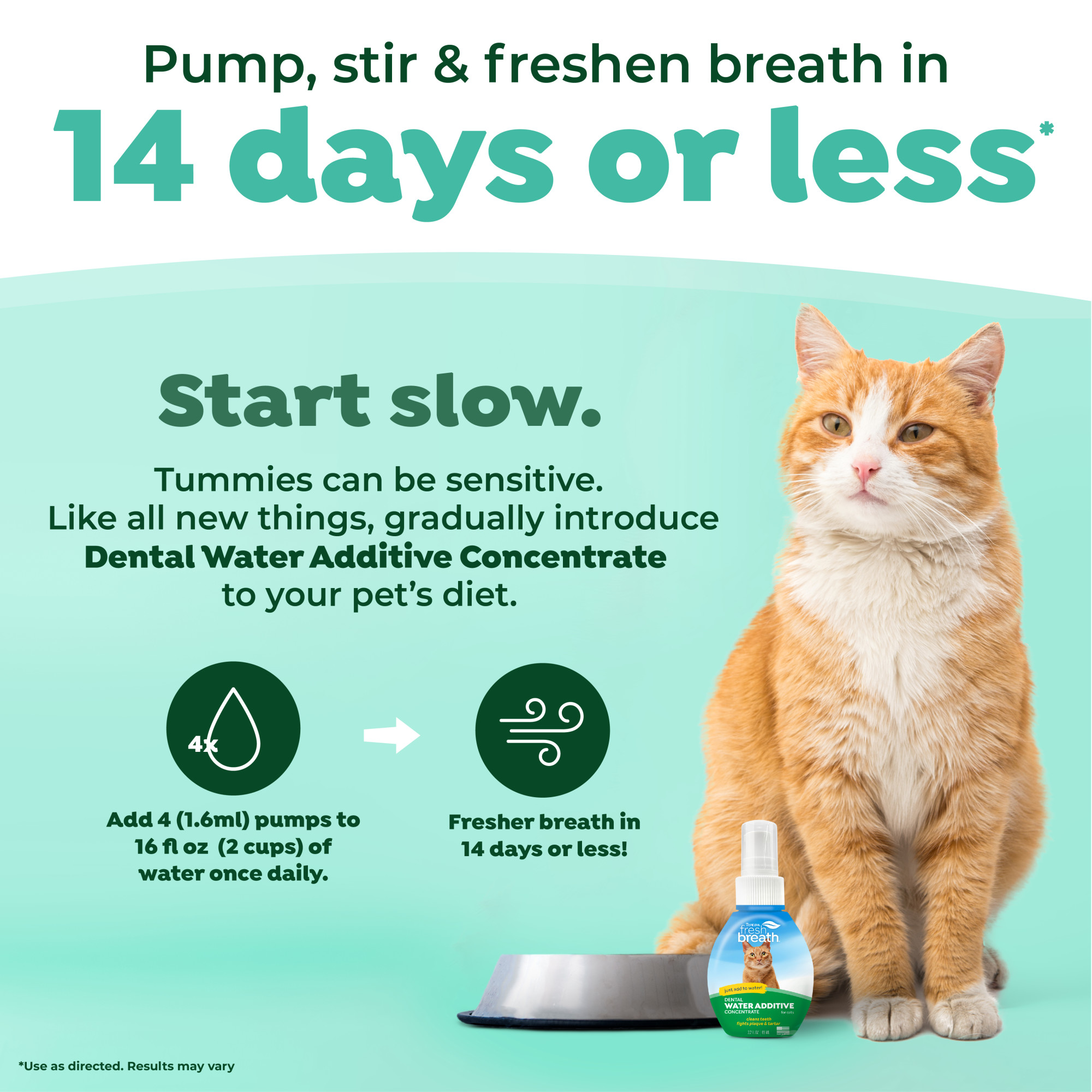 Oral Care Drops for Cats