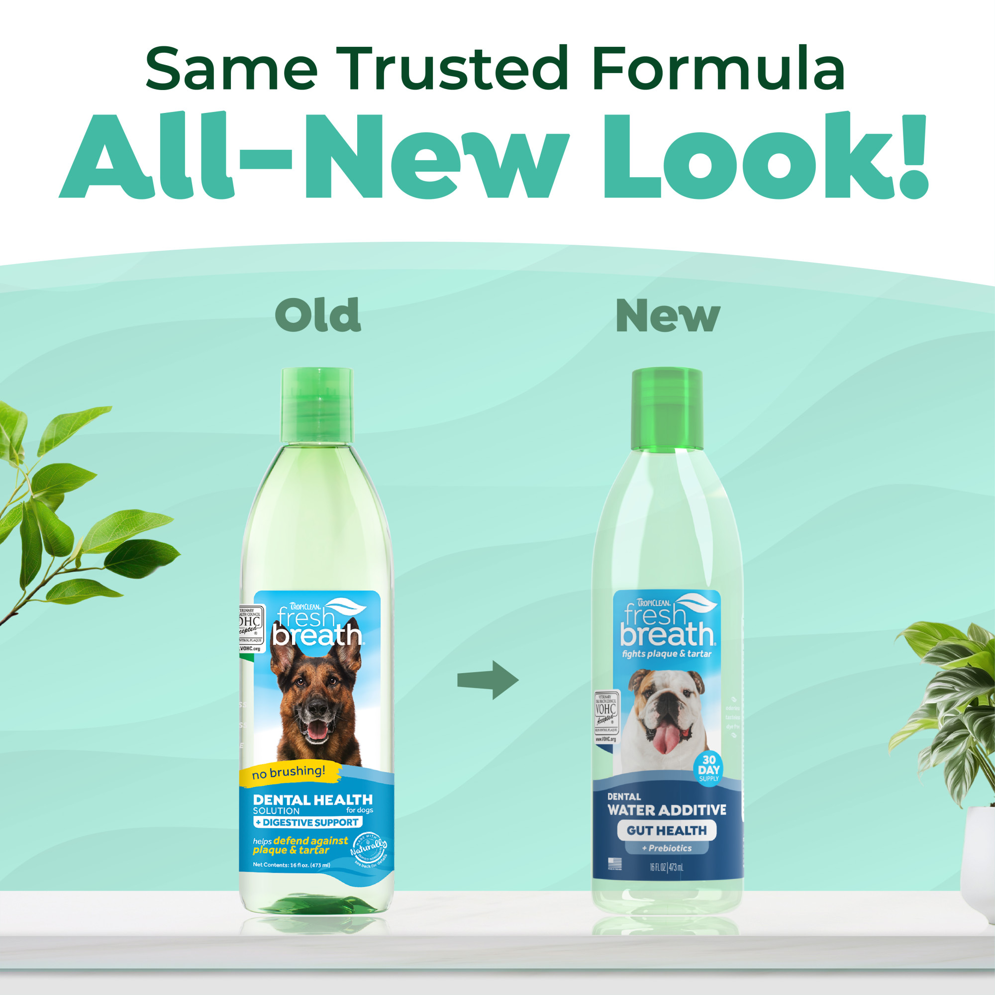 Dental Water Additive Plus Gut Support for Dogs