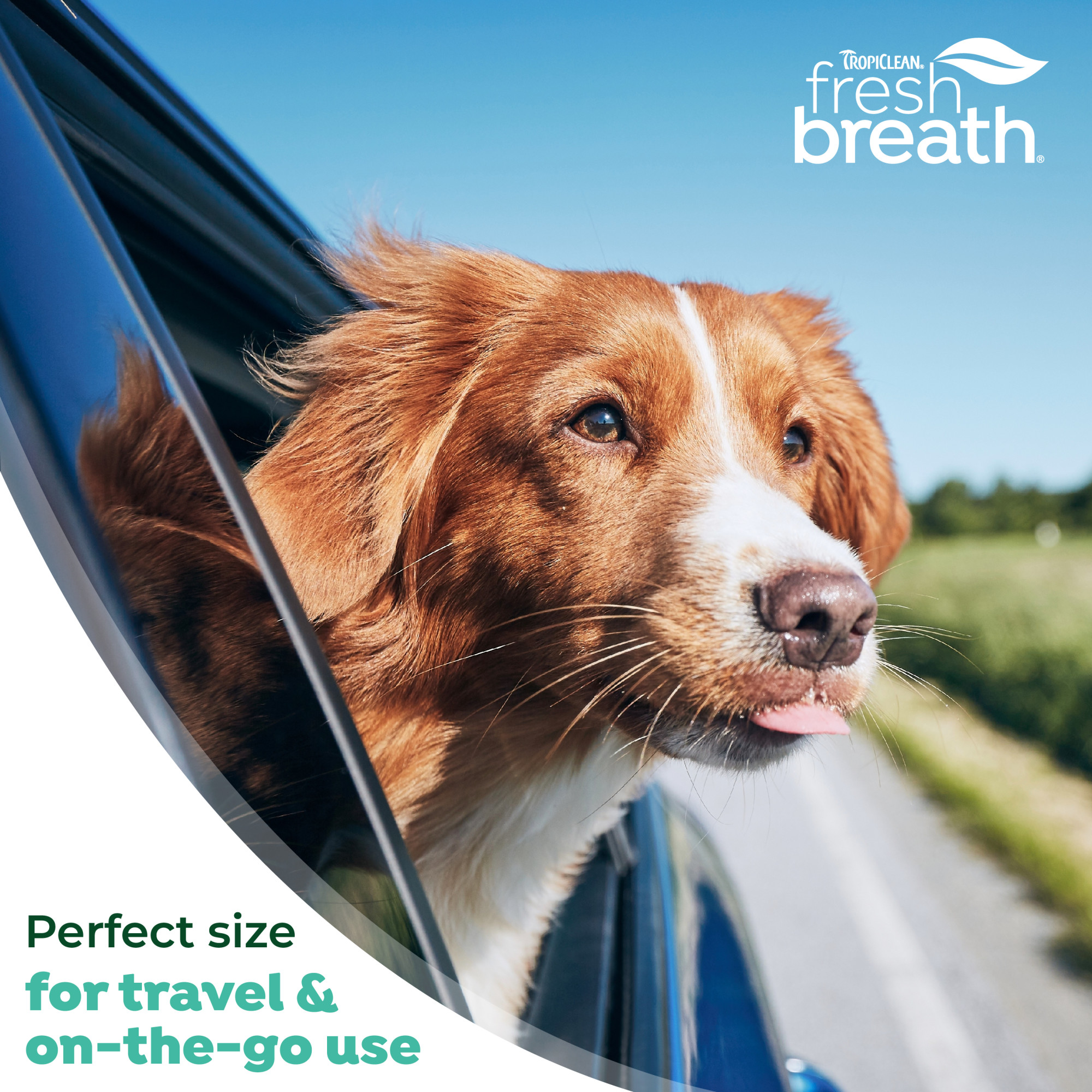 Oral Care Drops for Dogs