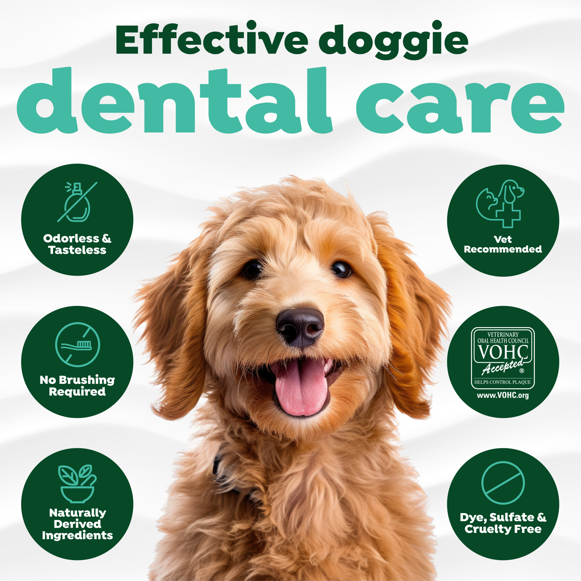 Dental Health Solution for Dogs