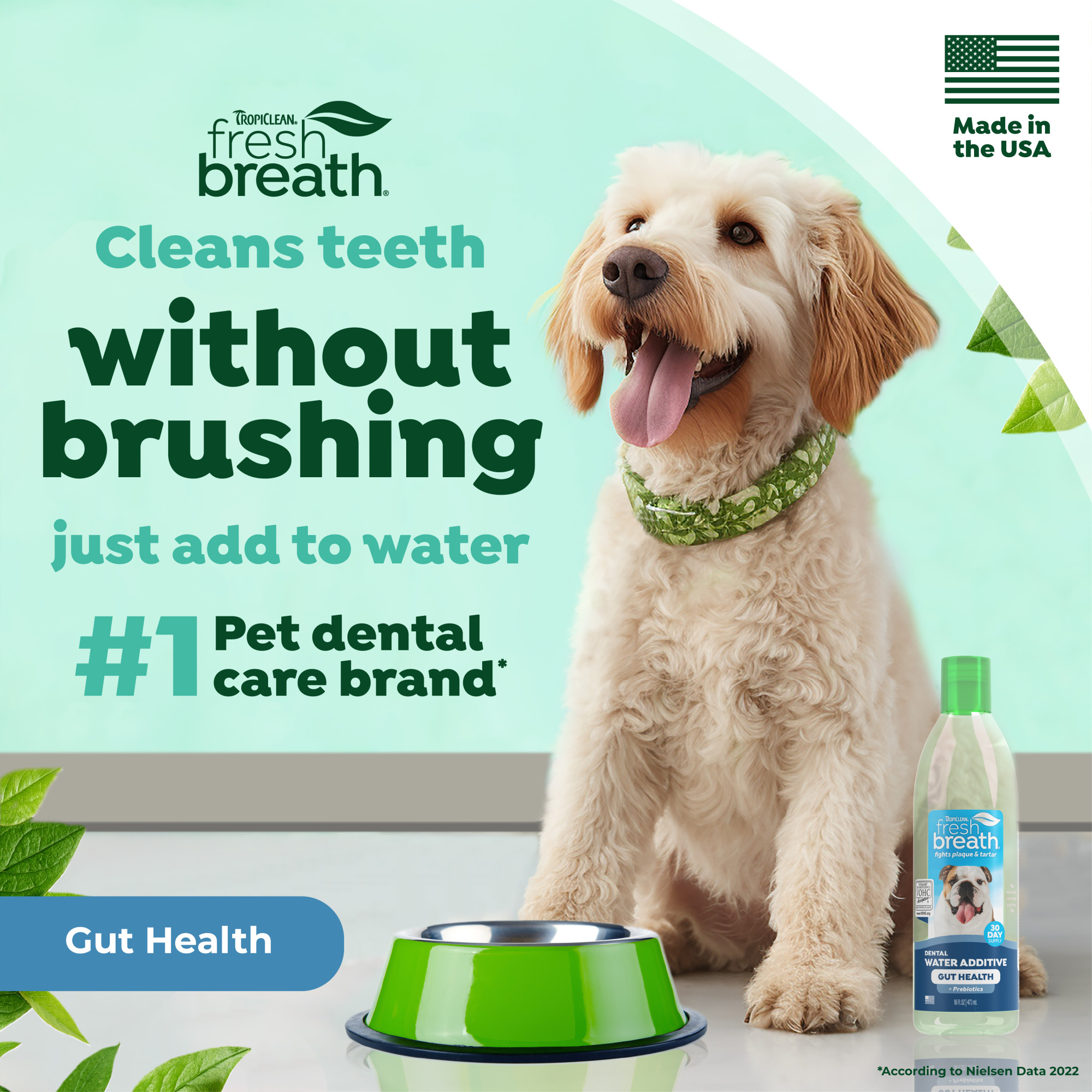 Dental Water Additive Plus Gut Support for Dogs