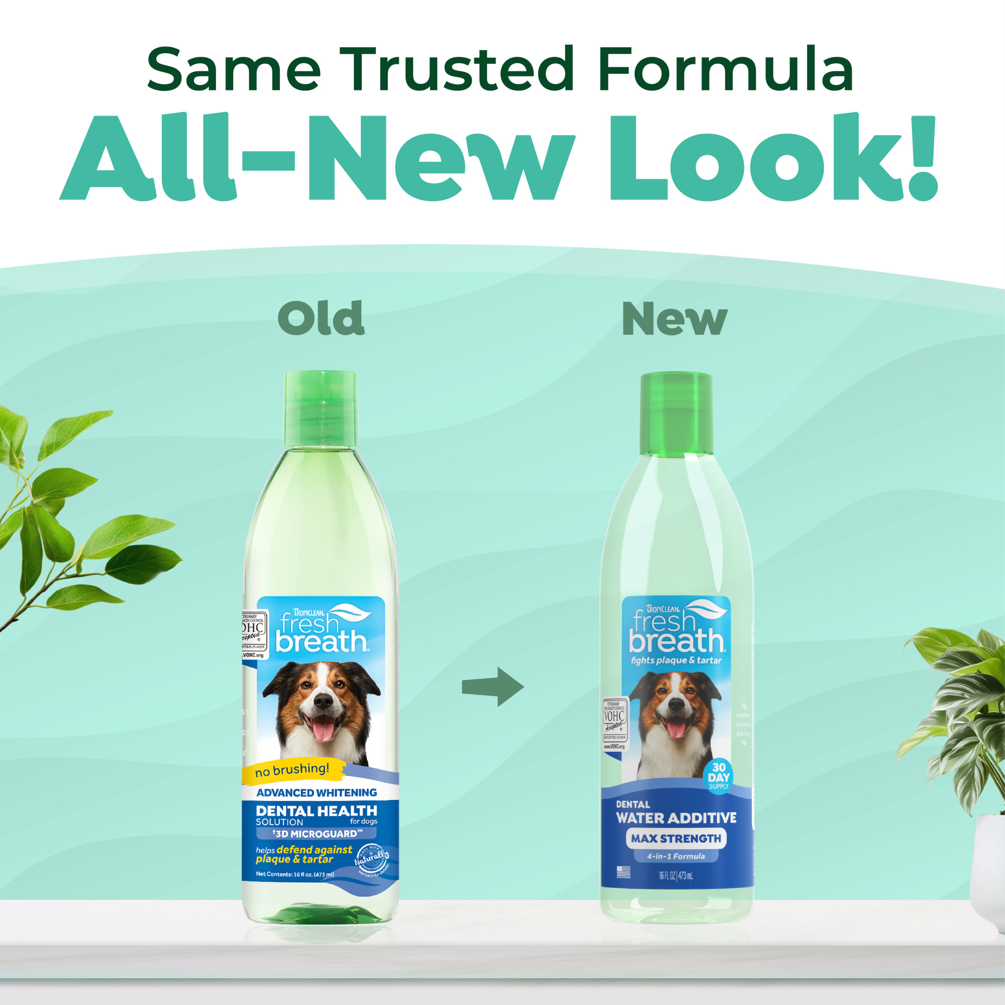 Max Strength Dental Water Additive for Dogs