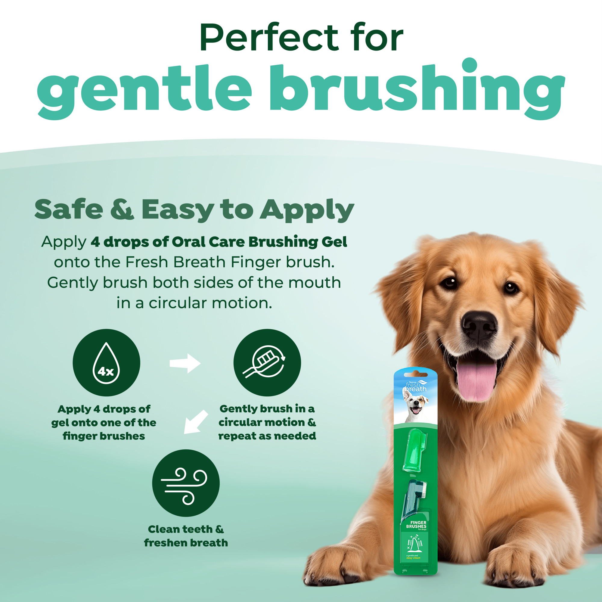 Finger Brushes for Dogs