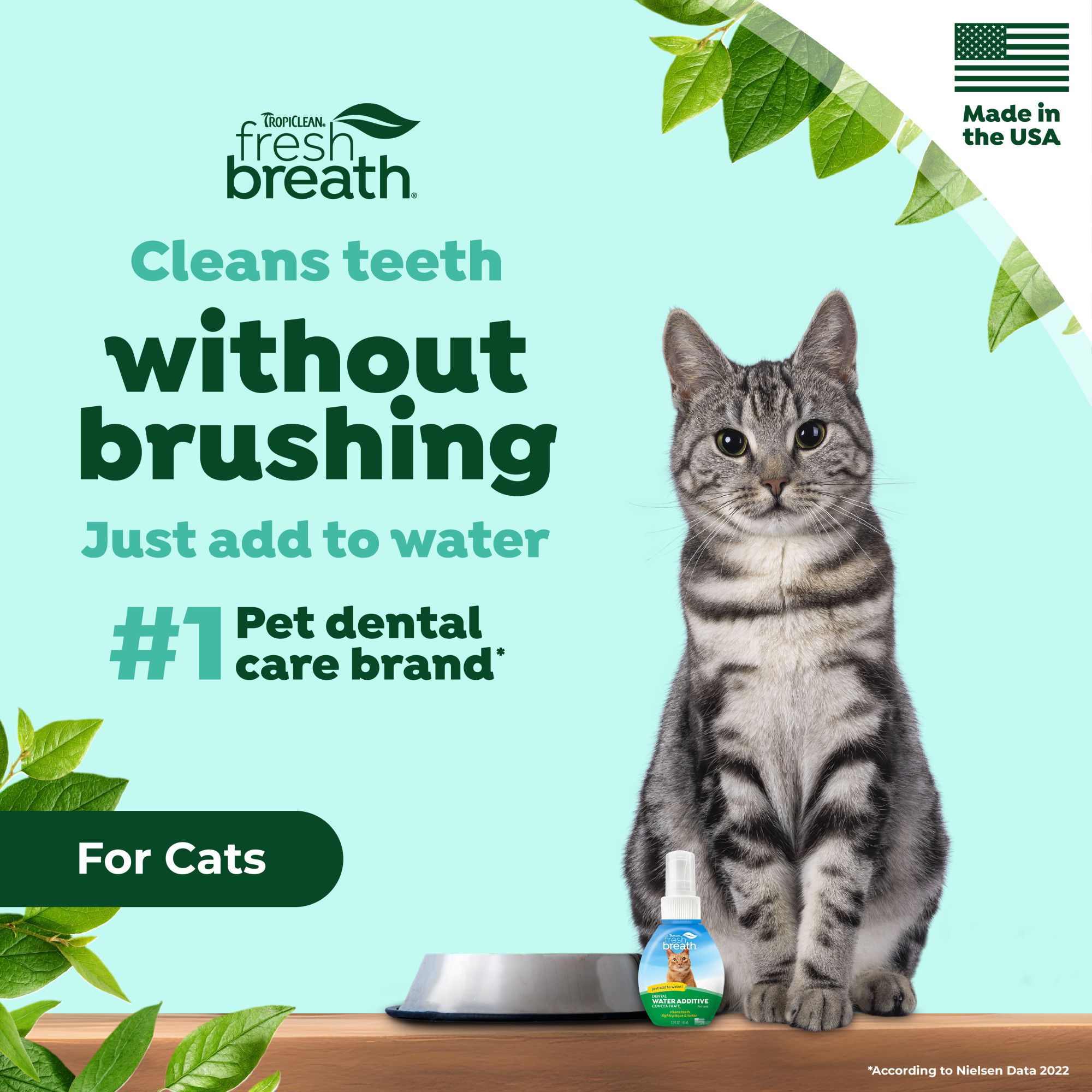 Oral Care Drops for Cats