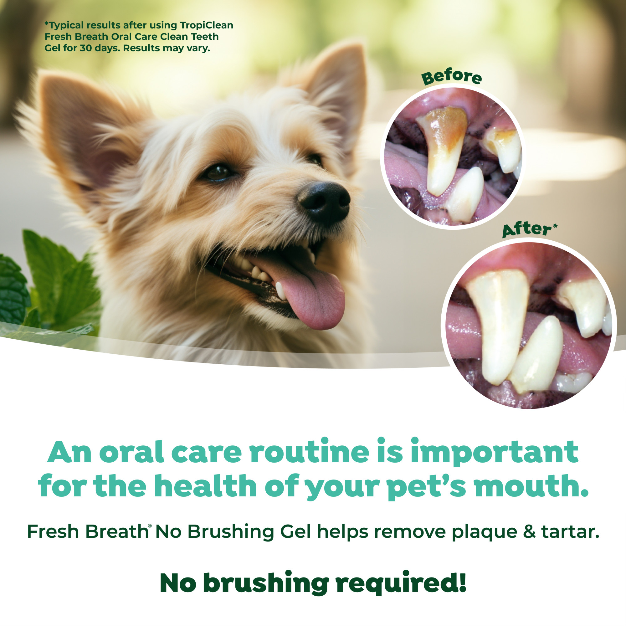 Oral Care Gel for Puppies