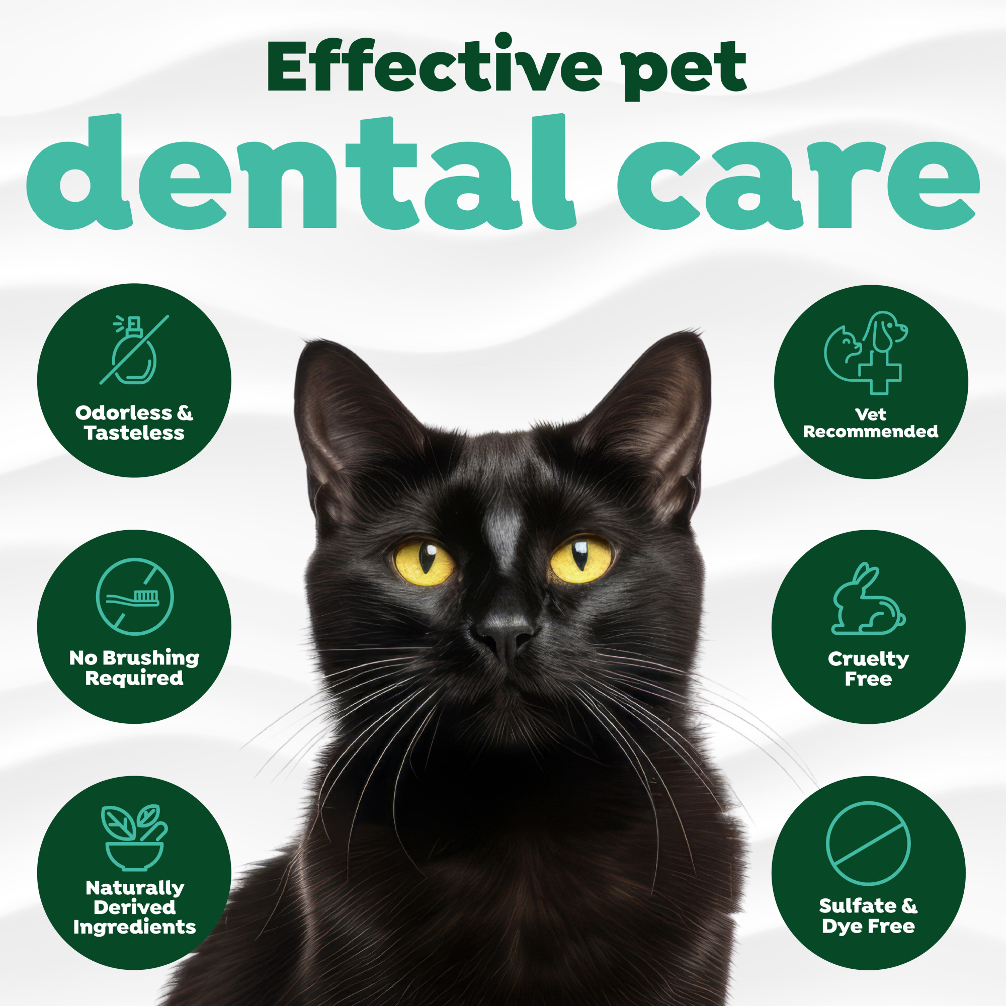 Dental Water Additive for Cats