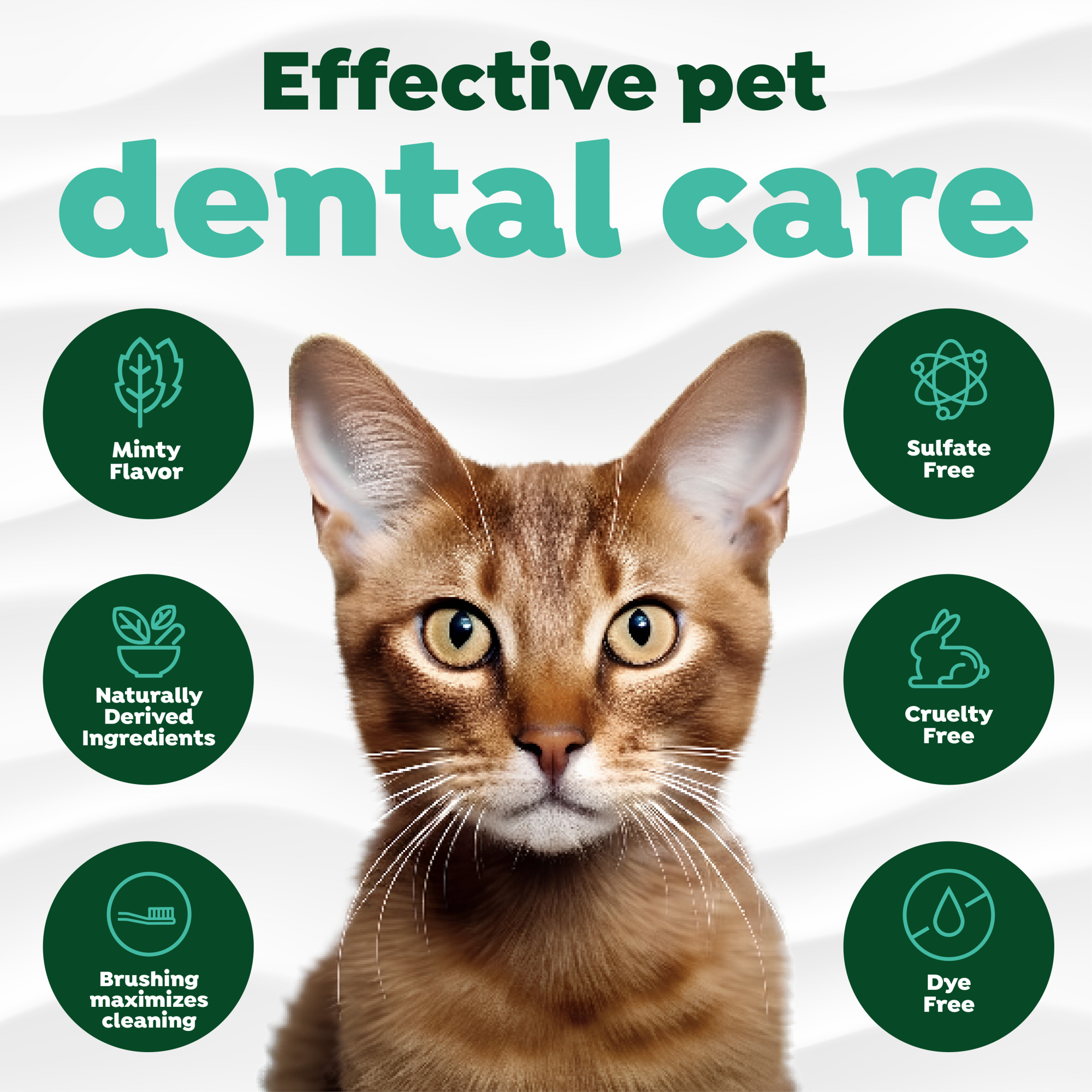 Oral Care Kit for Cats