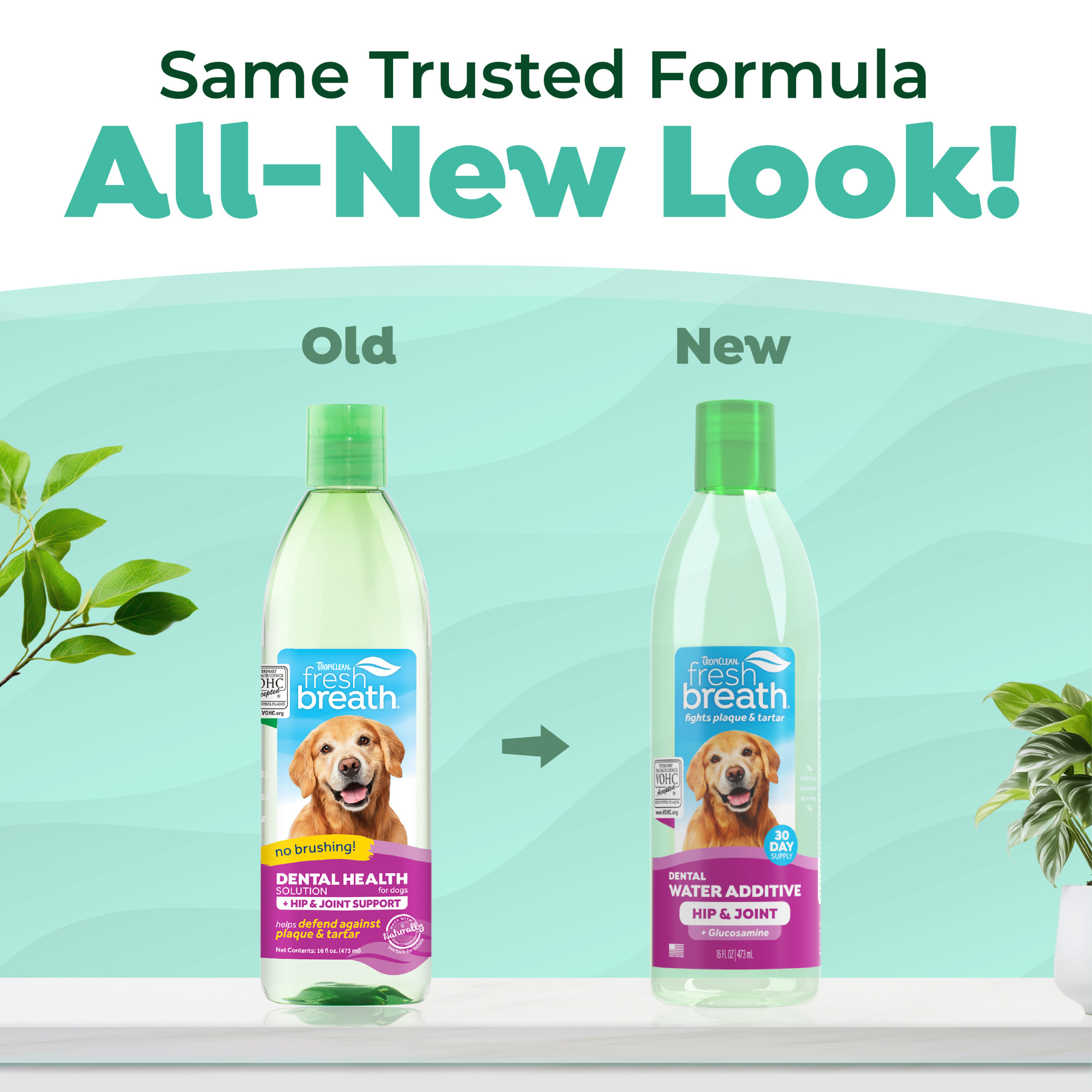 Dental Health Solution Plus Hip & Joint for Dogs