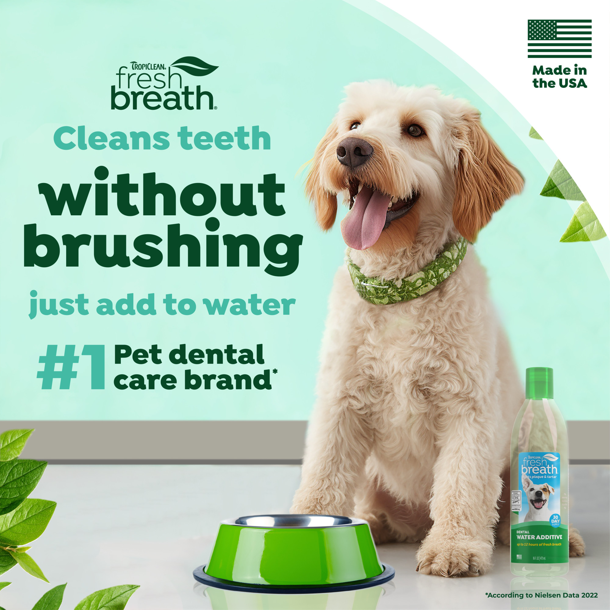 Dental Health Solution for Dogs