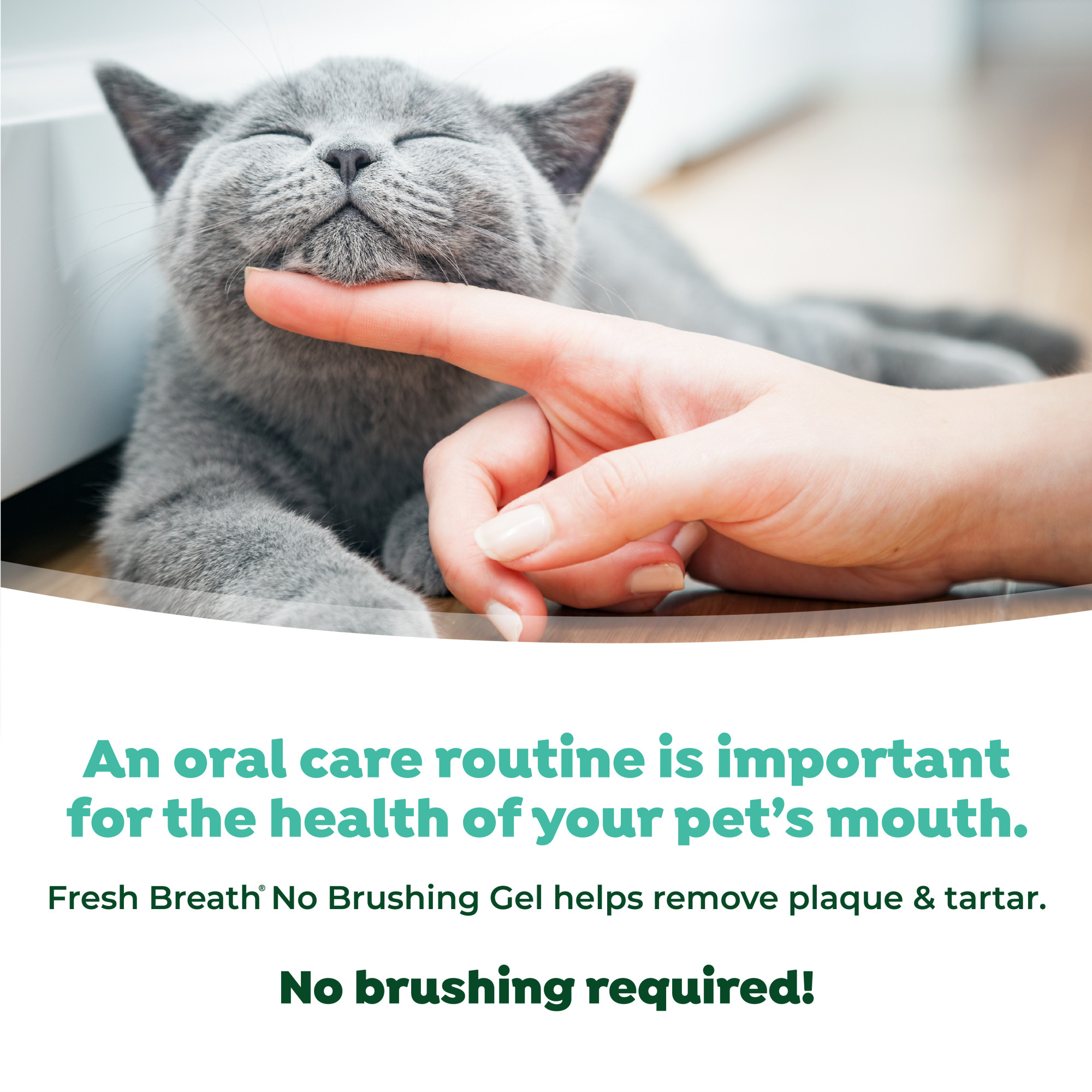 Oral Care Gel for Cats