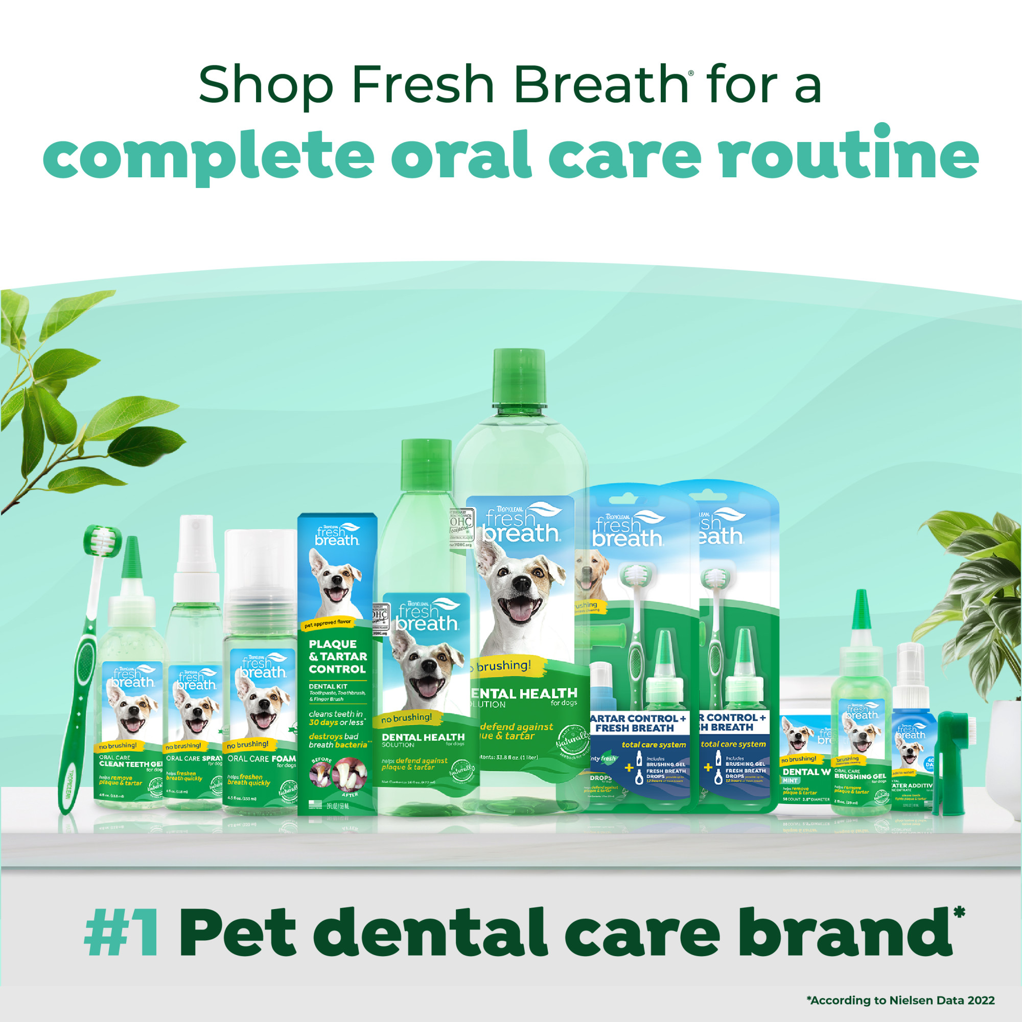 Oral Care Drops for Dogs