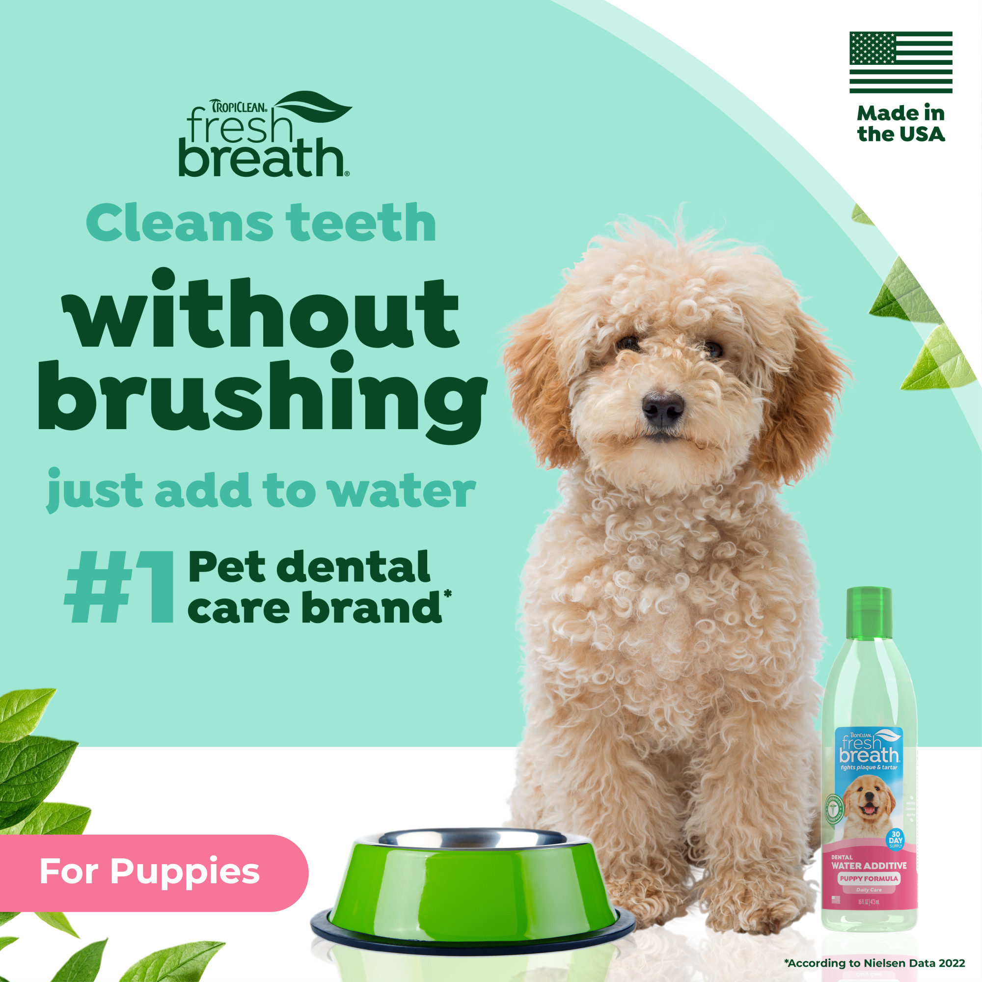 Dental Water Additive for Puppies