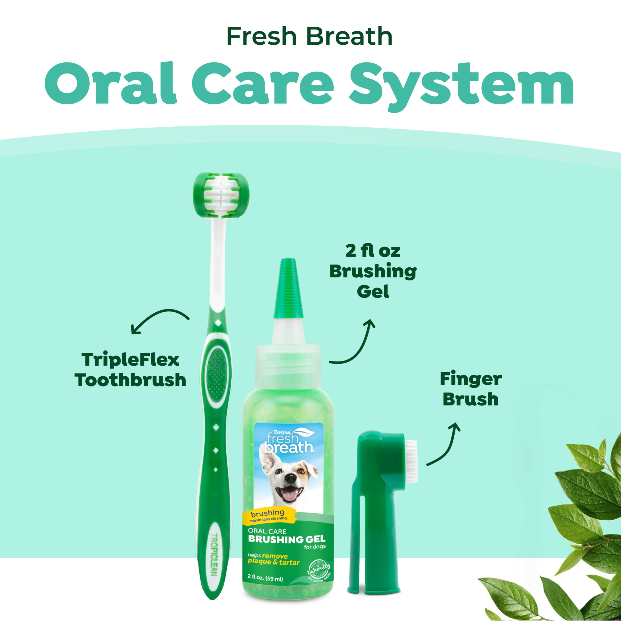 Oral Care Kit for Large Dogs