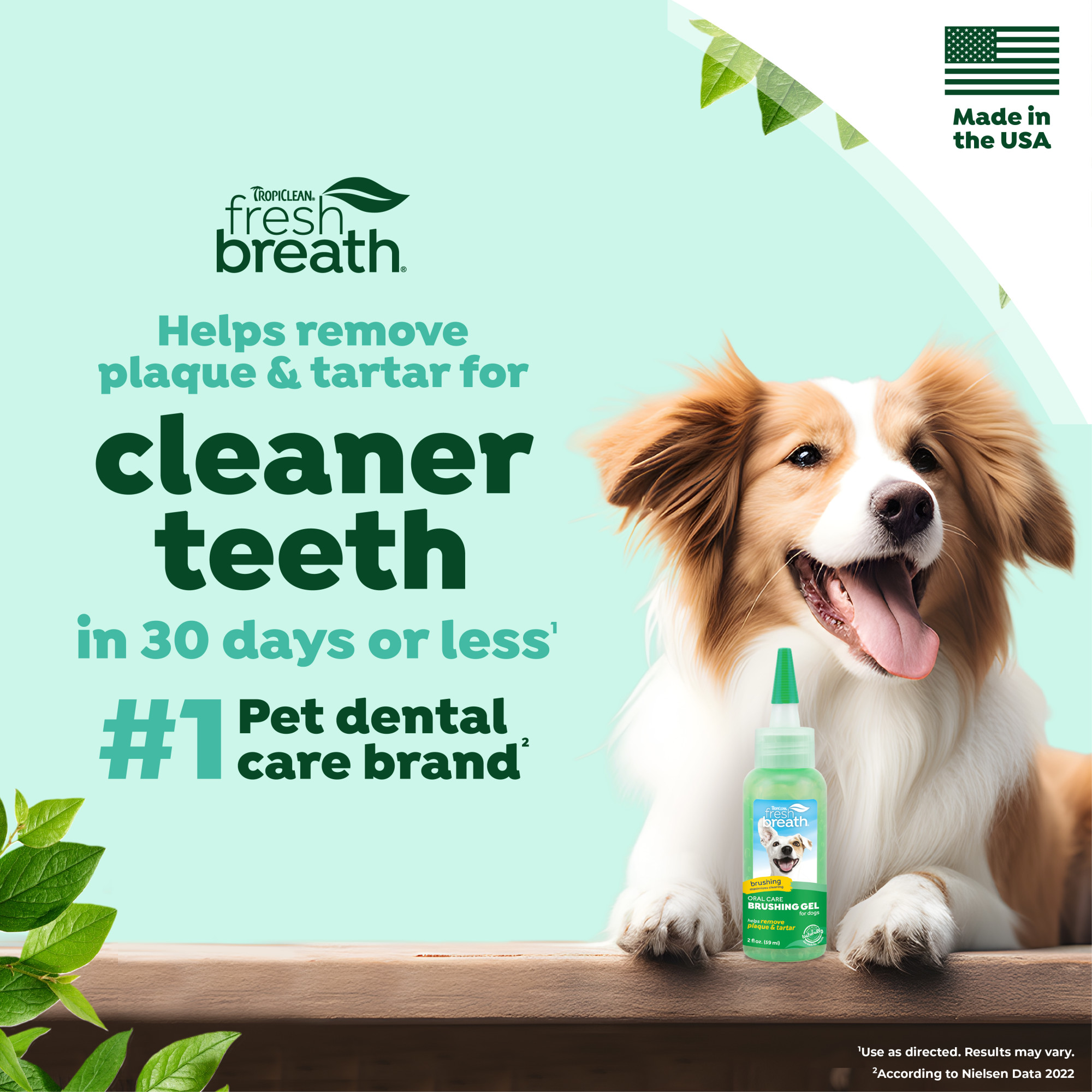 Oral Care Brushing Gel for Dogs