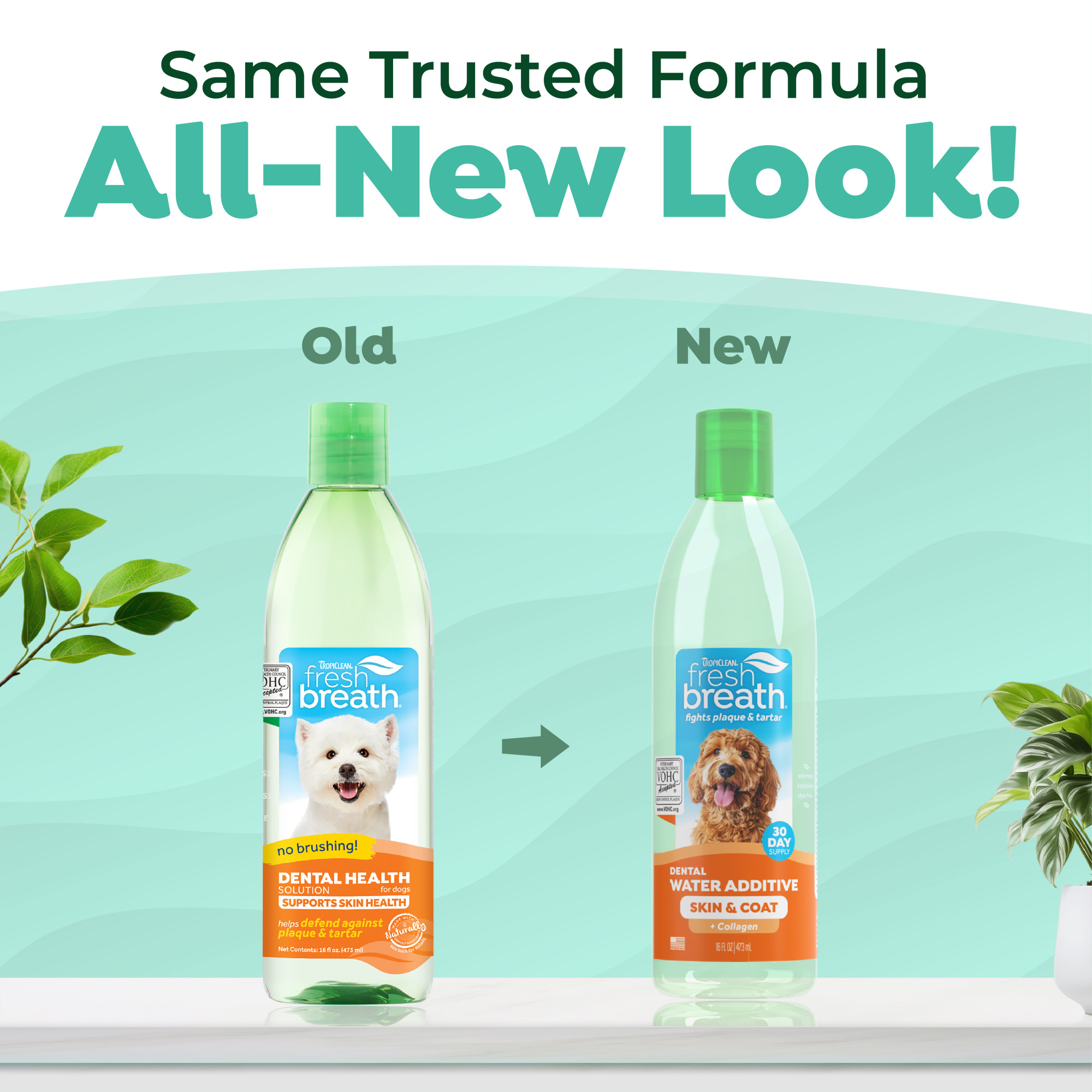 Dental Water Additive Plus Skin & Coat for Dogs