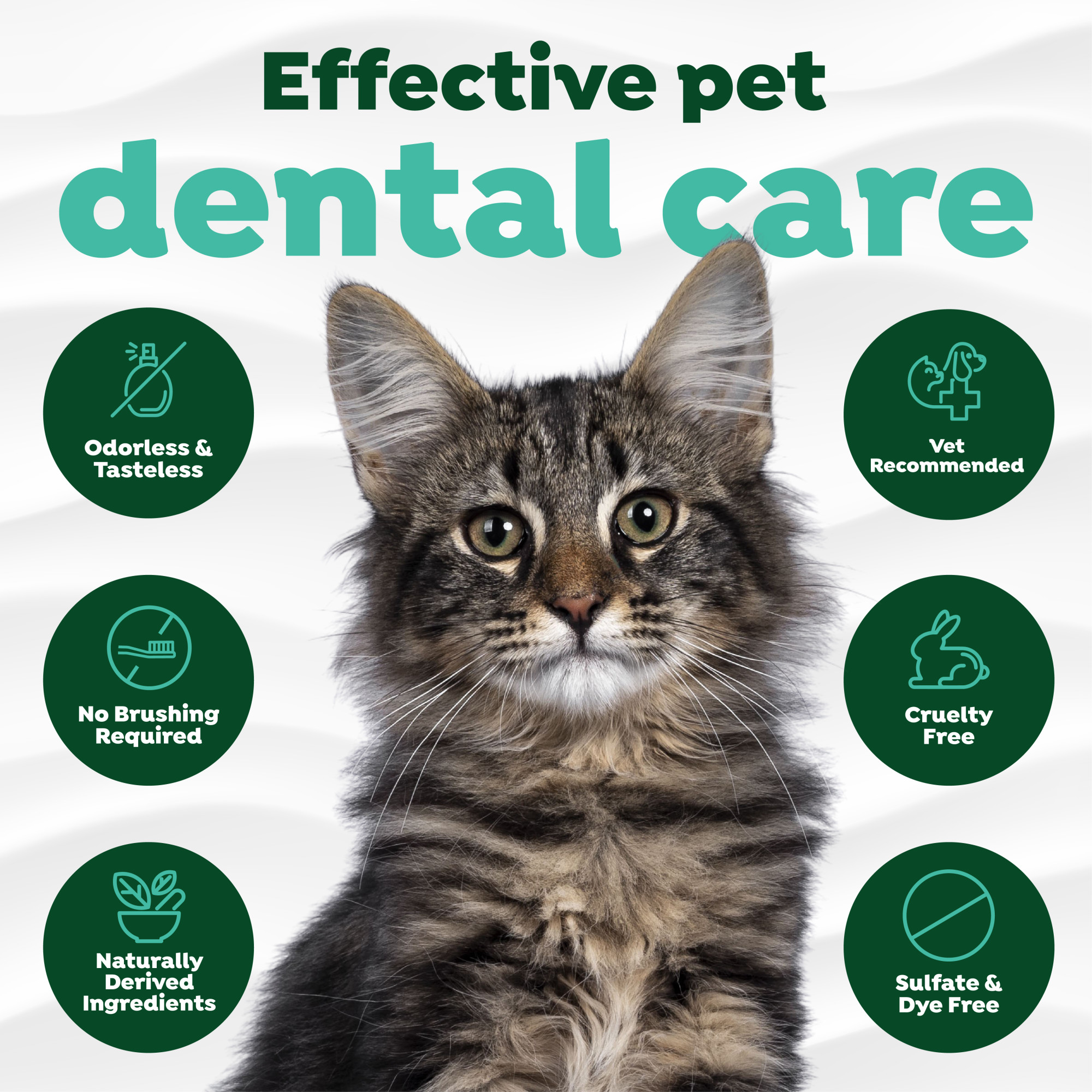 Oral Care Drops for Cats