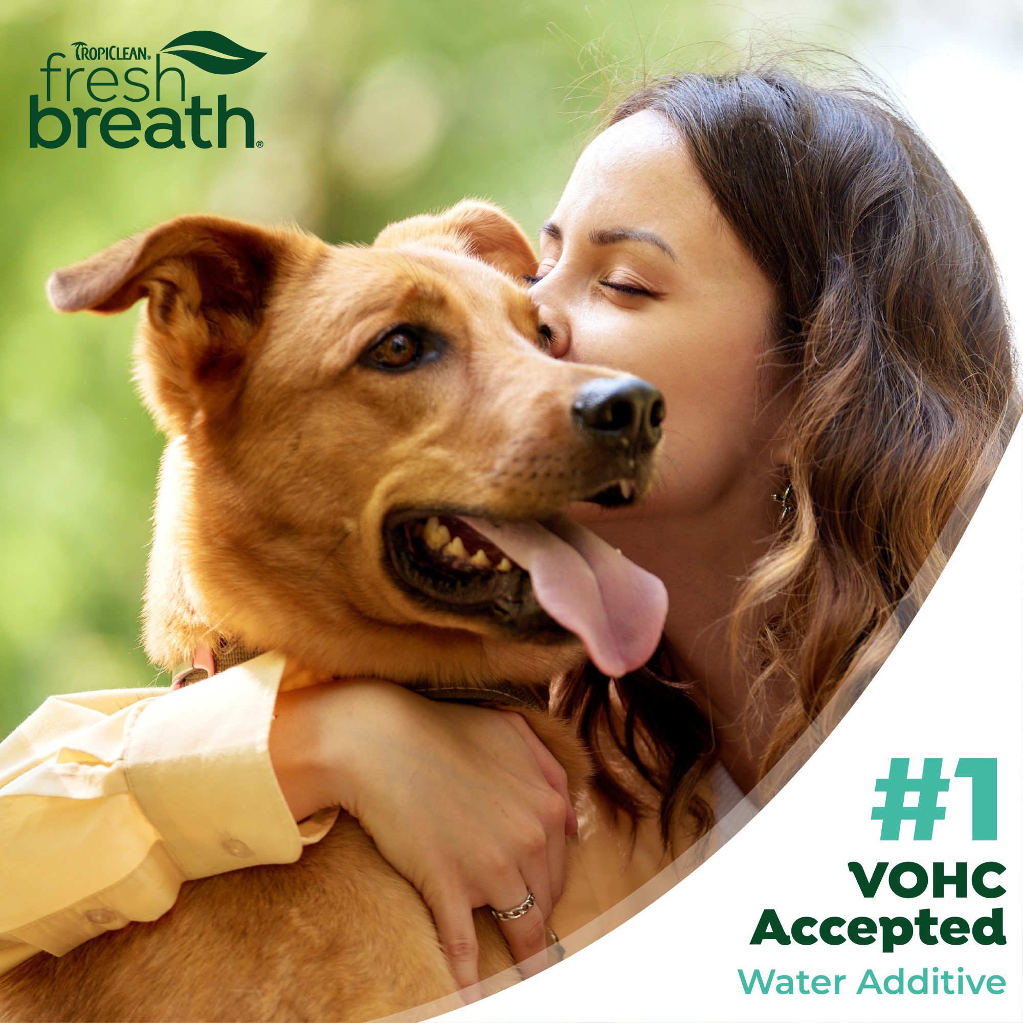 Dental Health Solution for Dogs