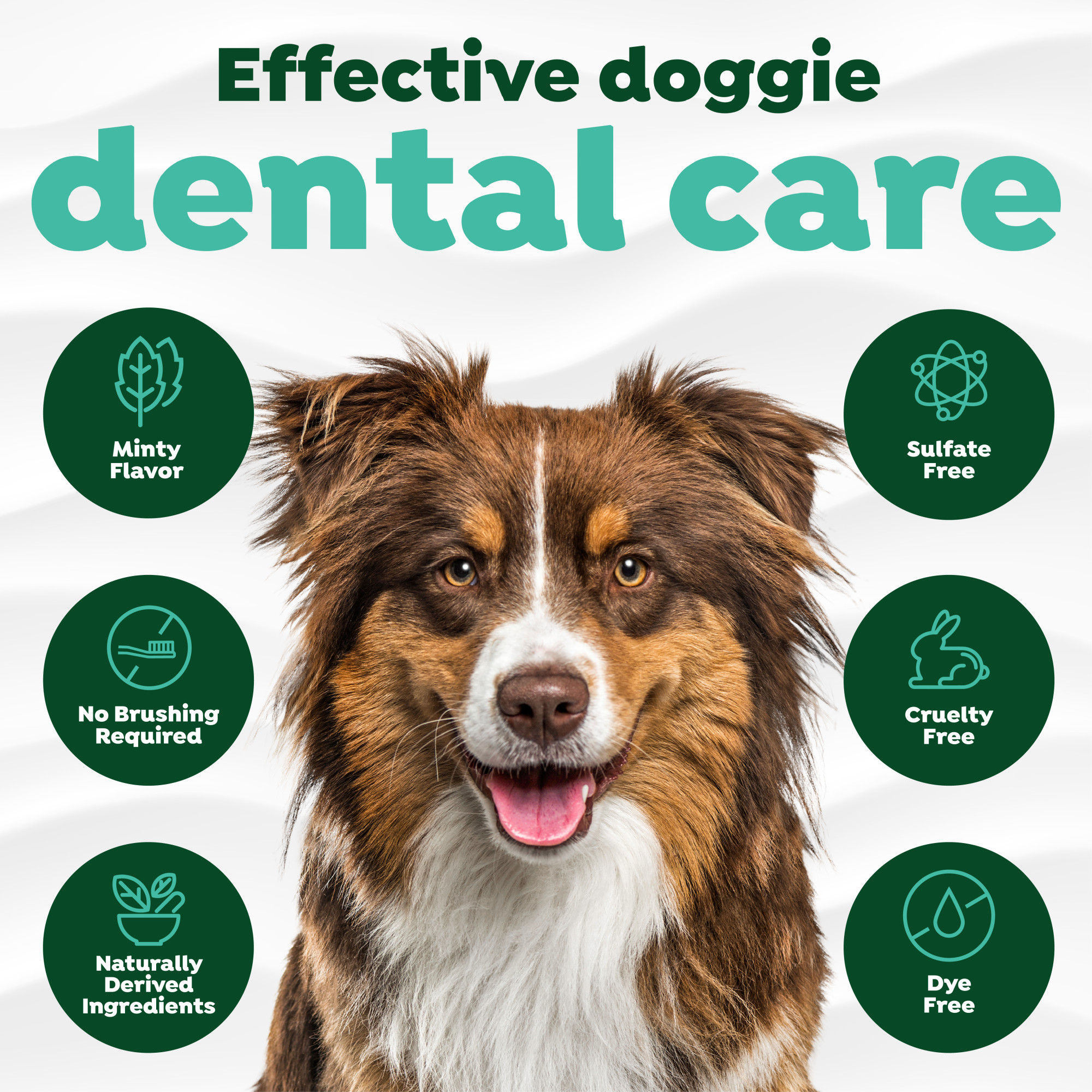 Oral Care Spray for Dogs