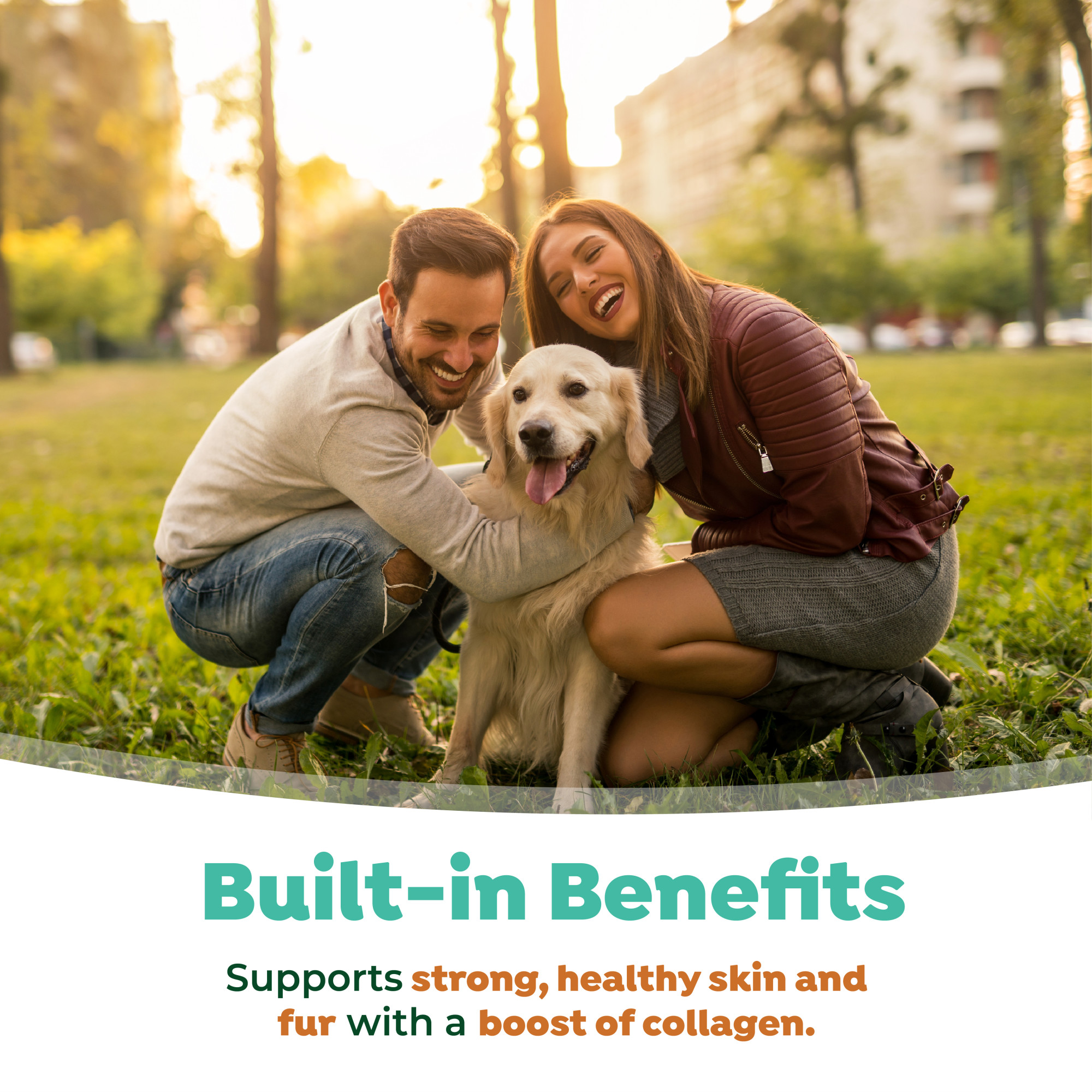 Dental Water Additive Plus Skin & Coat for Dogs