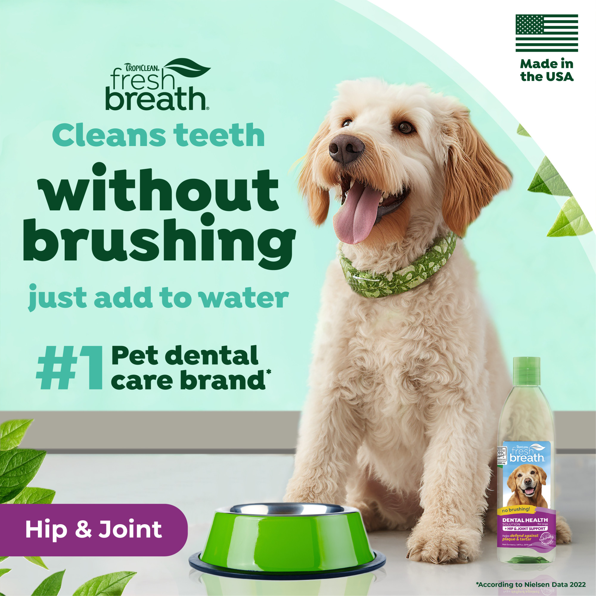 Dental Health Solution Plus Hip & Joint for Dogs