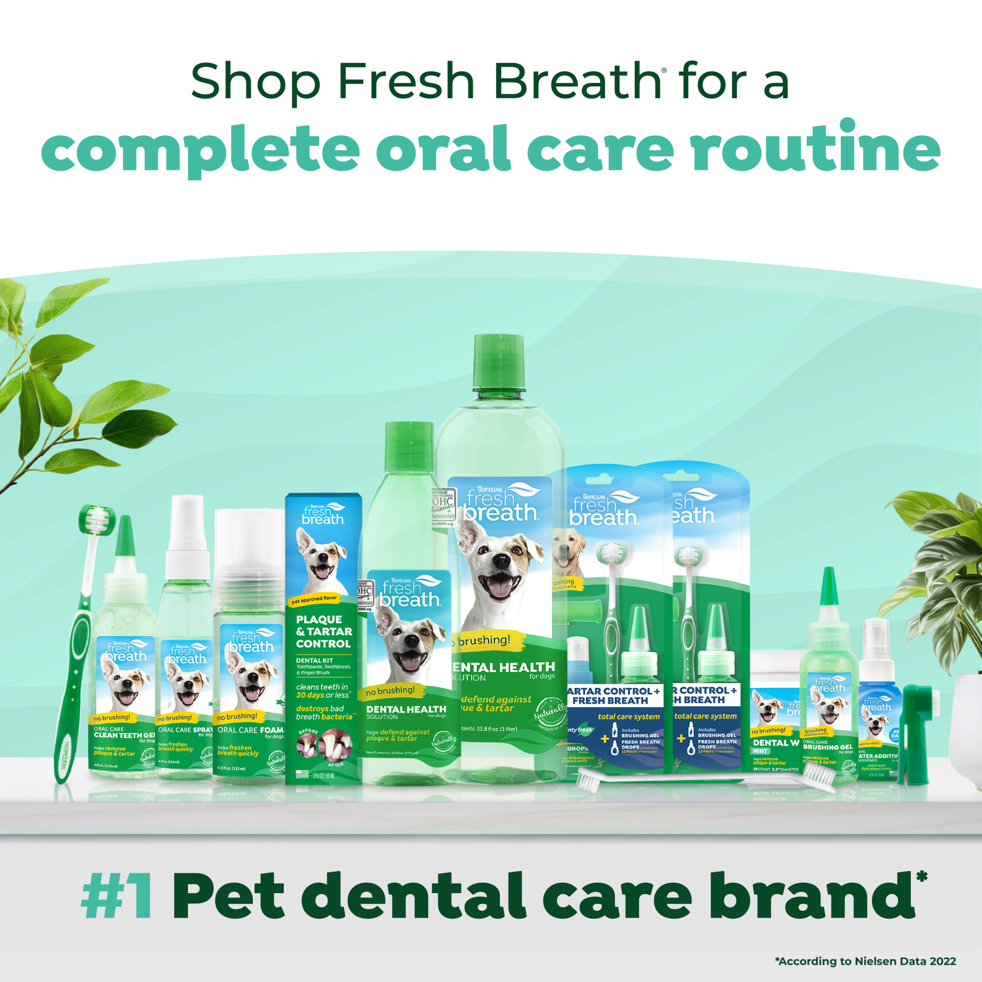 Oral Care Drops for Cats