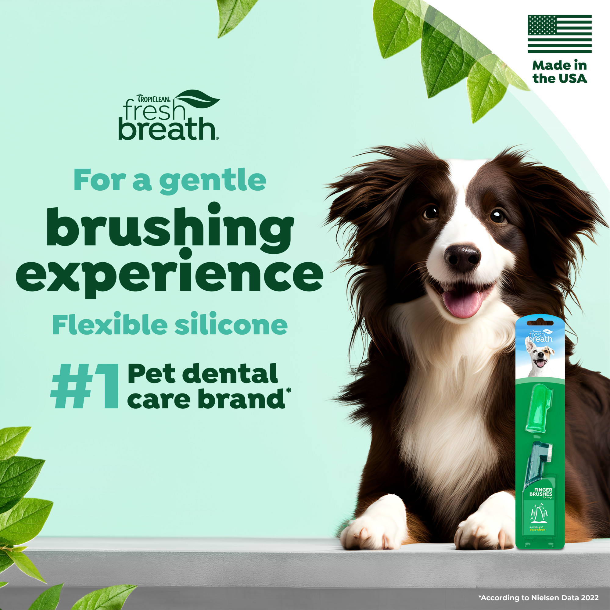 Finger Brushes for Dogs