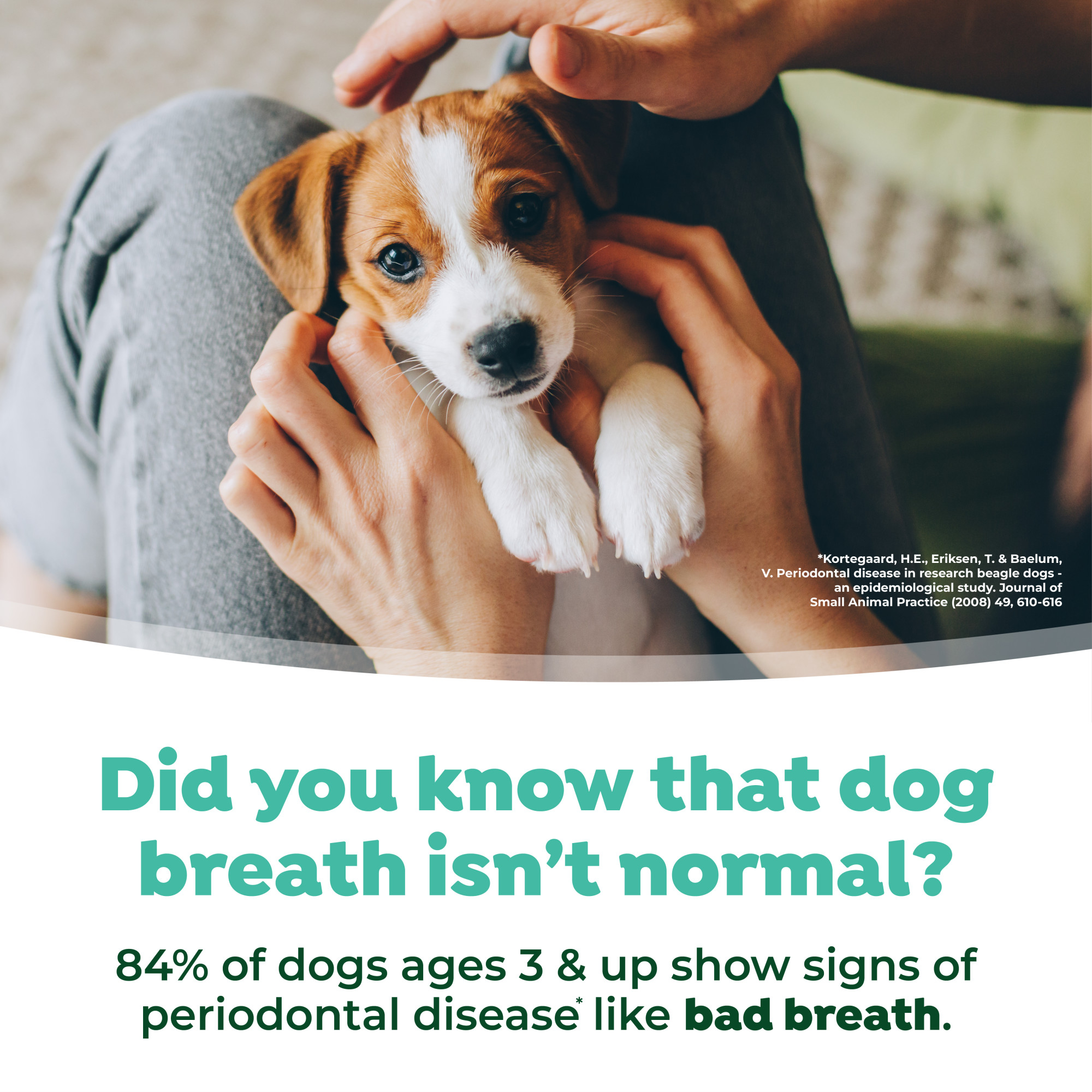 Dental Water Additive for Puppies
