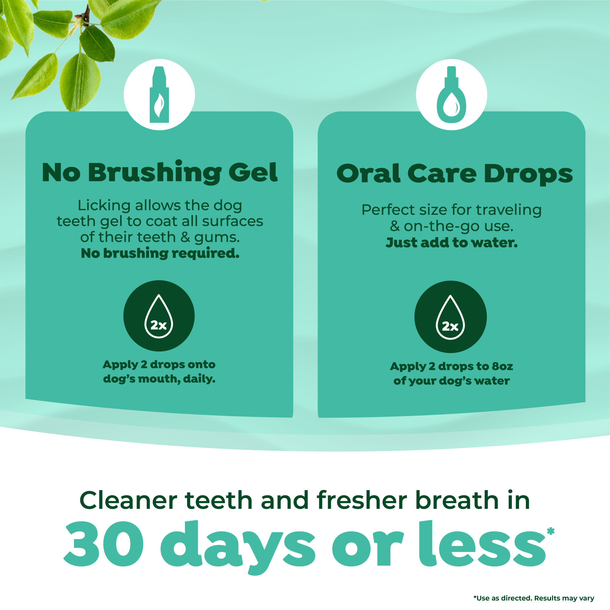 No-Brushing Total Care Kit for Dogs