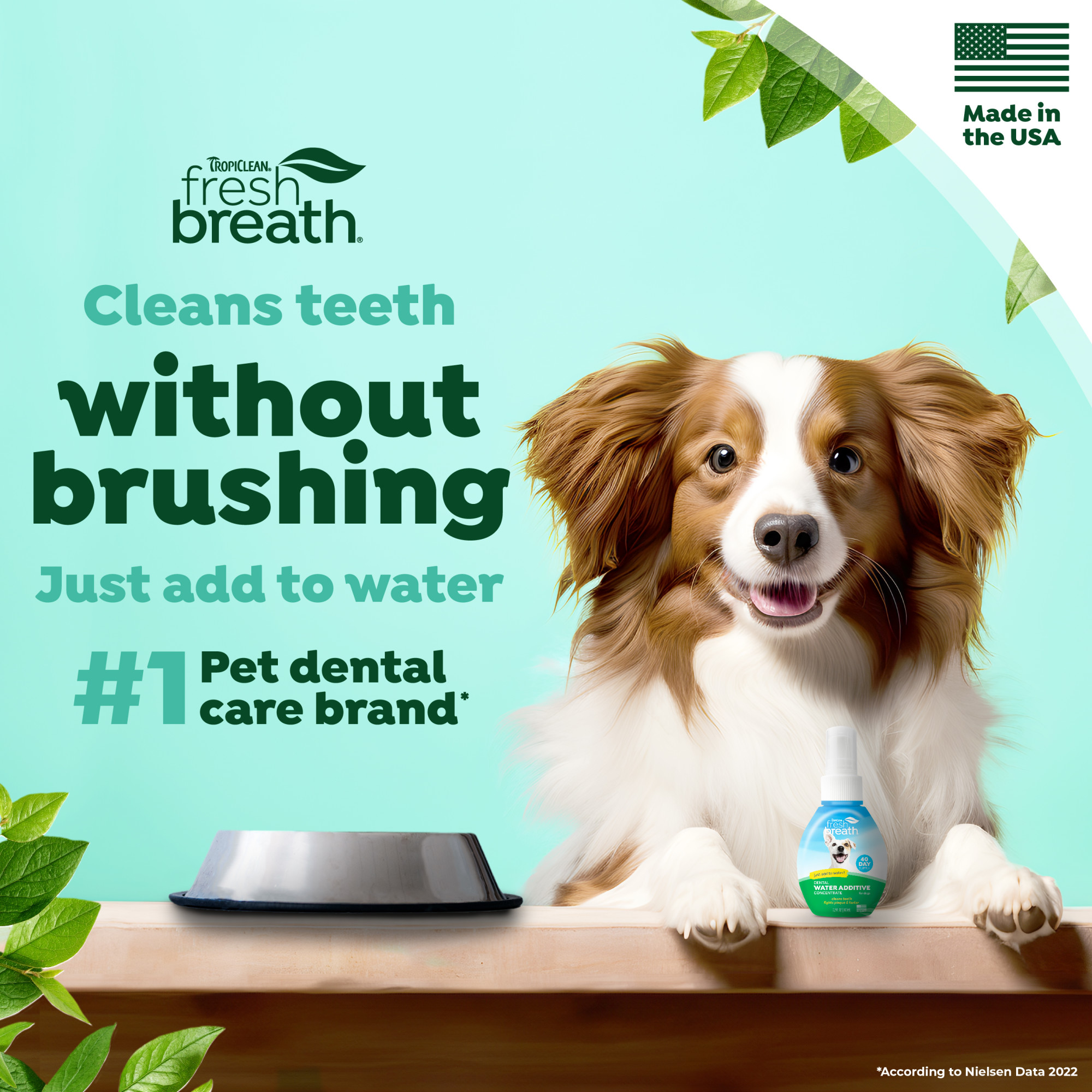 Oral Care Drops for Dogs