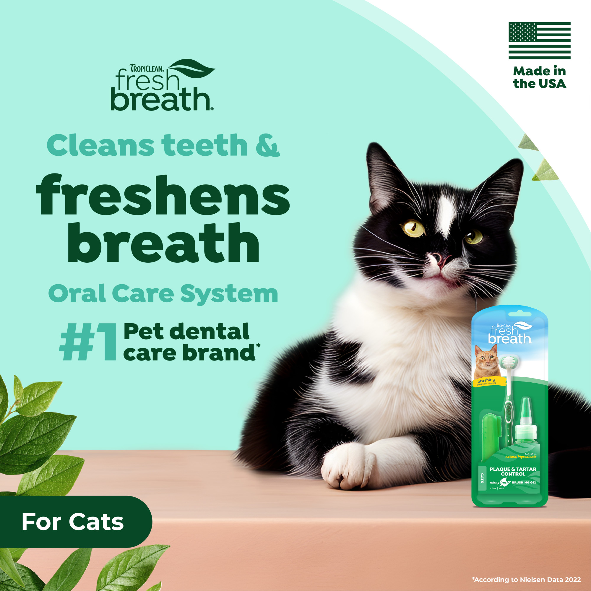 Oral Care Kit for Cats