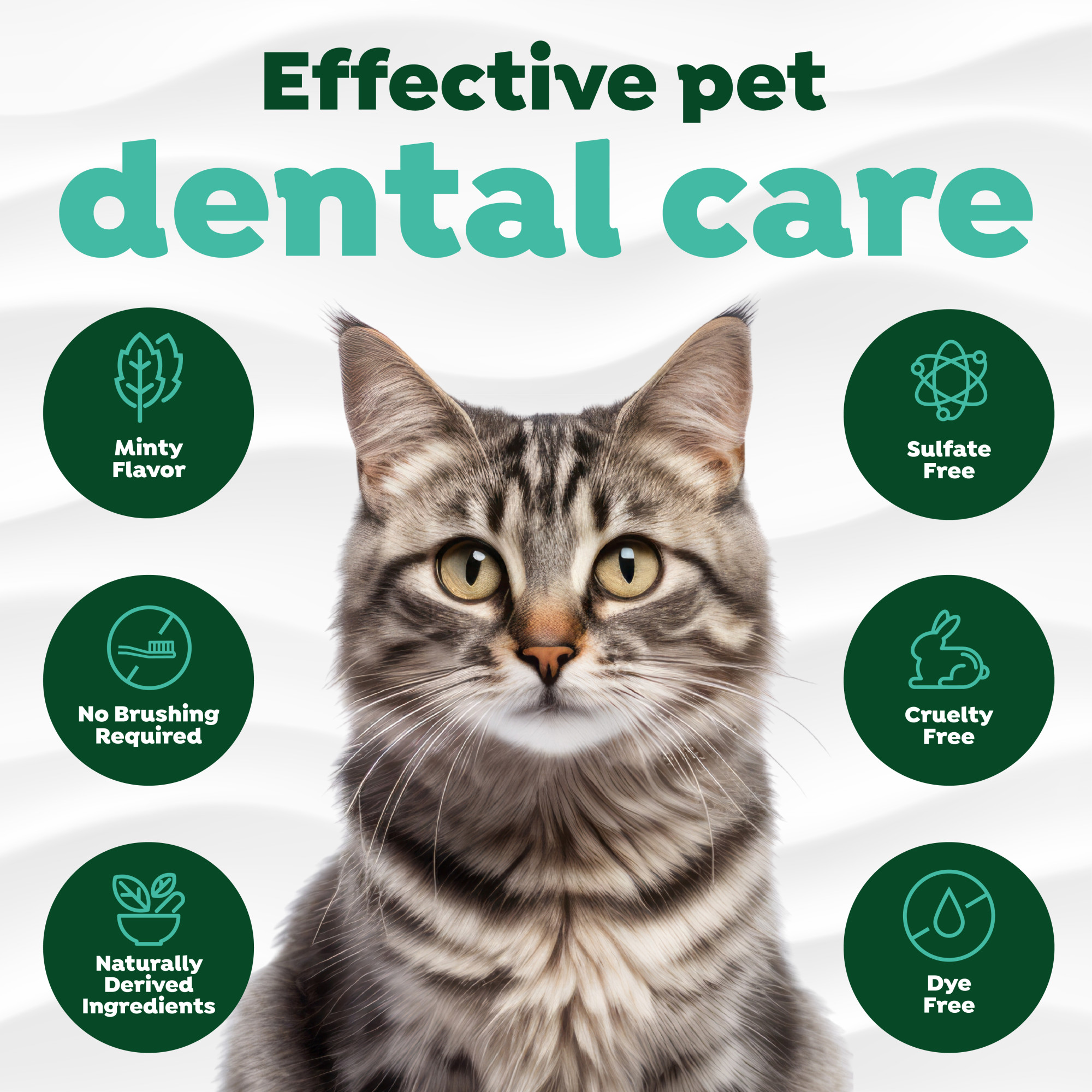 Oral Care Gel for Cats