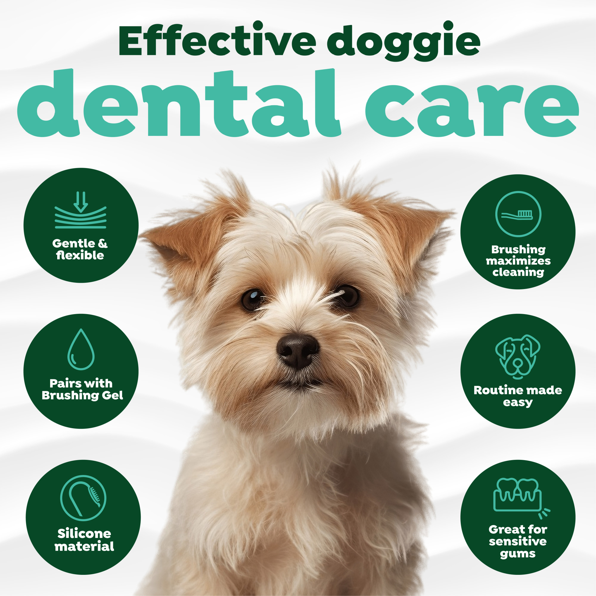 Finger Brushes for Dogs