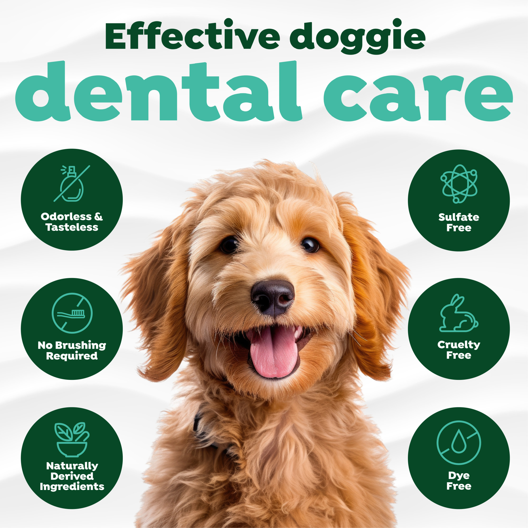 Dental Health Solution Plus Hip & Joint for Dogs