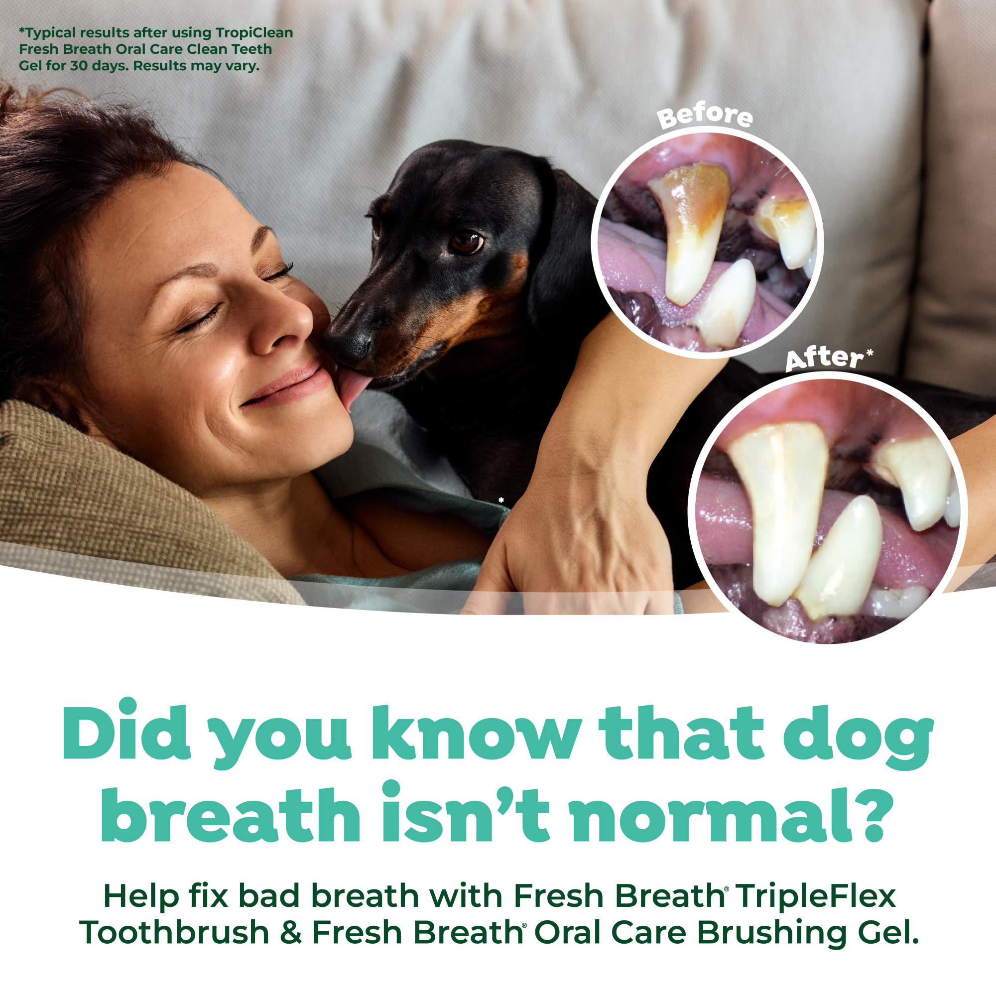 Tripleflex Toothbrush for Small/Medium Dogs