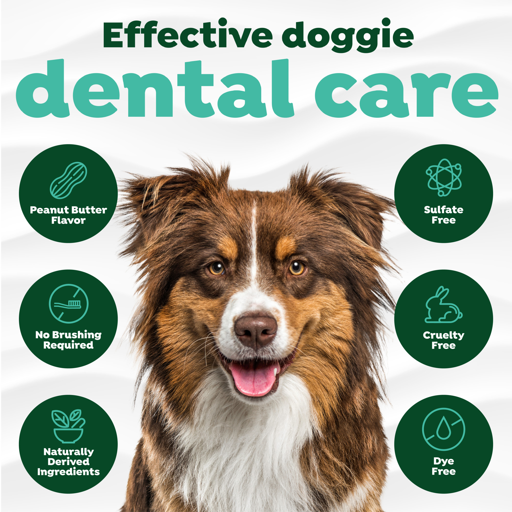 Oral Care Spray for Dogs – Peanut Butter Flavor