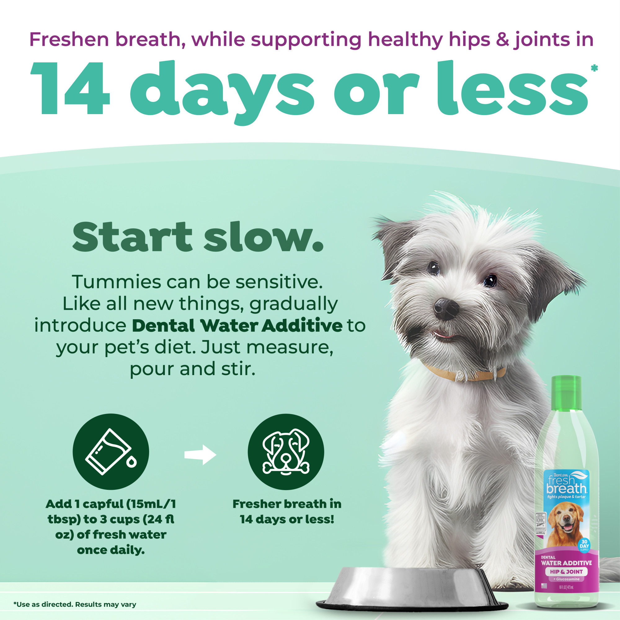 Dental Health Solution Plus Hip & Joint for Dogs