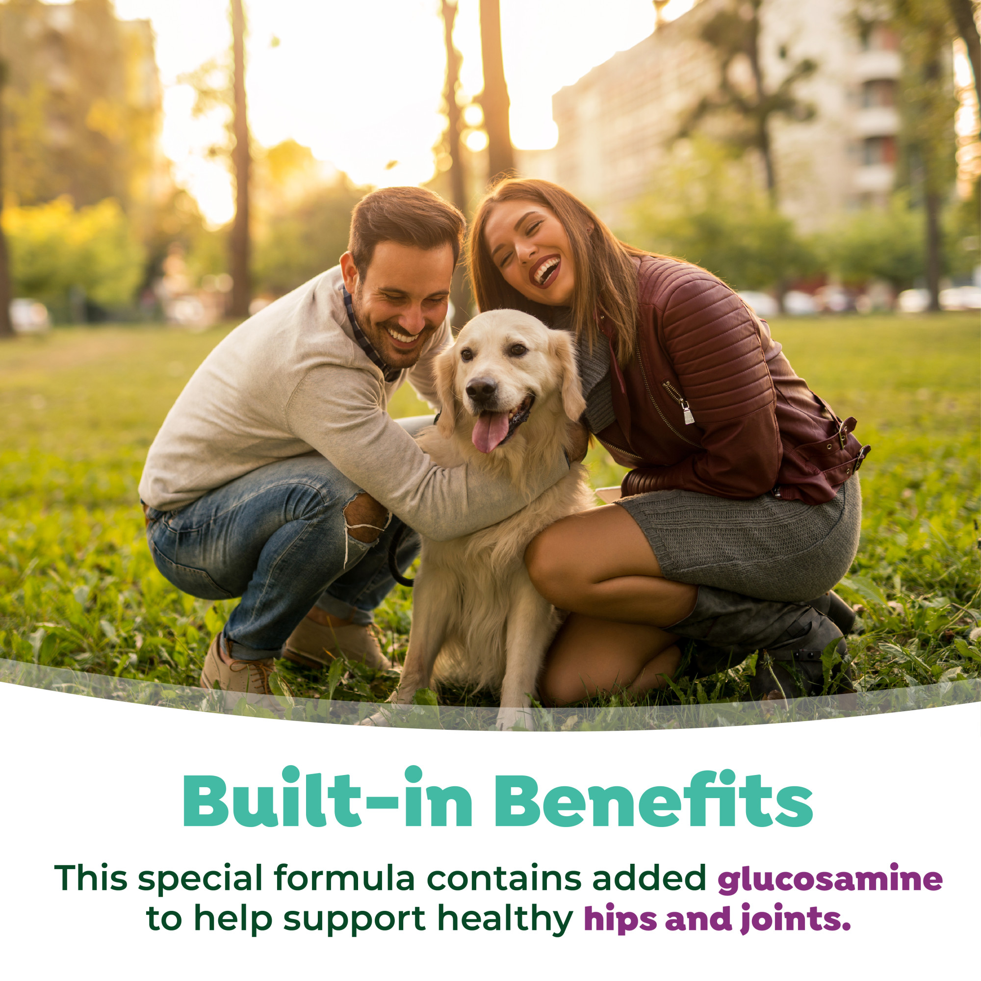 Dental Health Solution Plus Hip & Joint for Dogs
