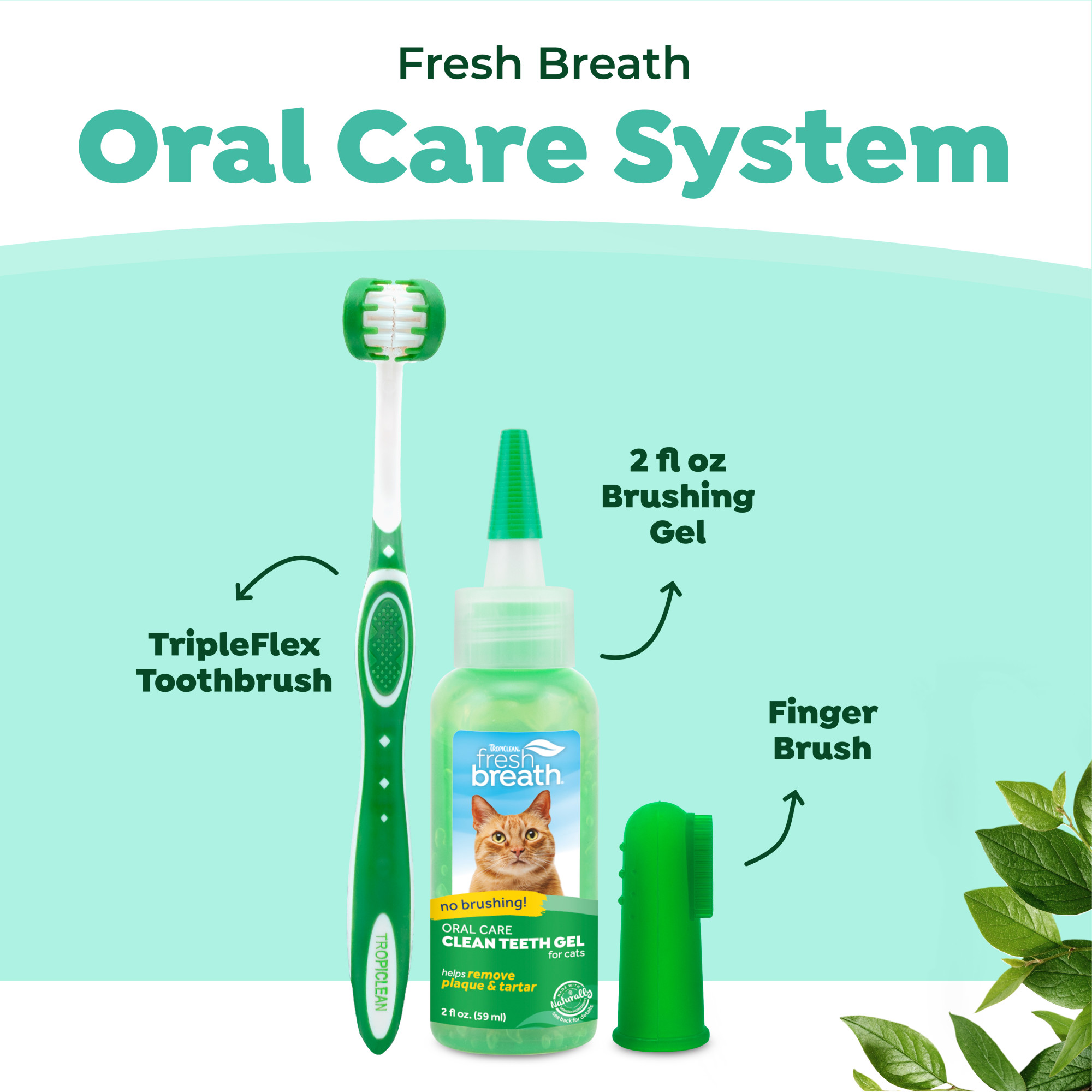 Oral Care Kit for Cats