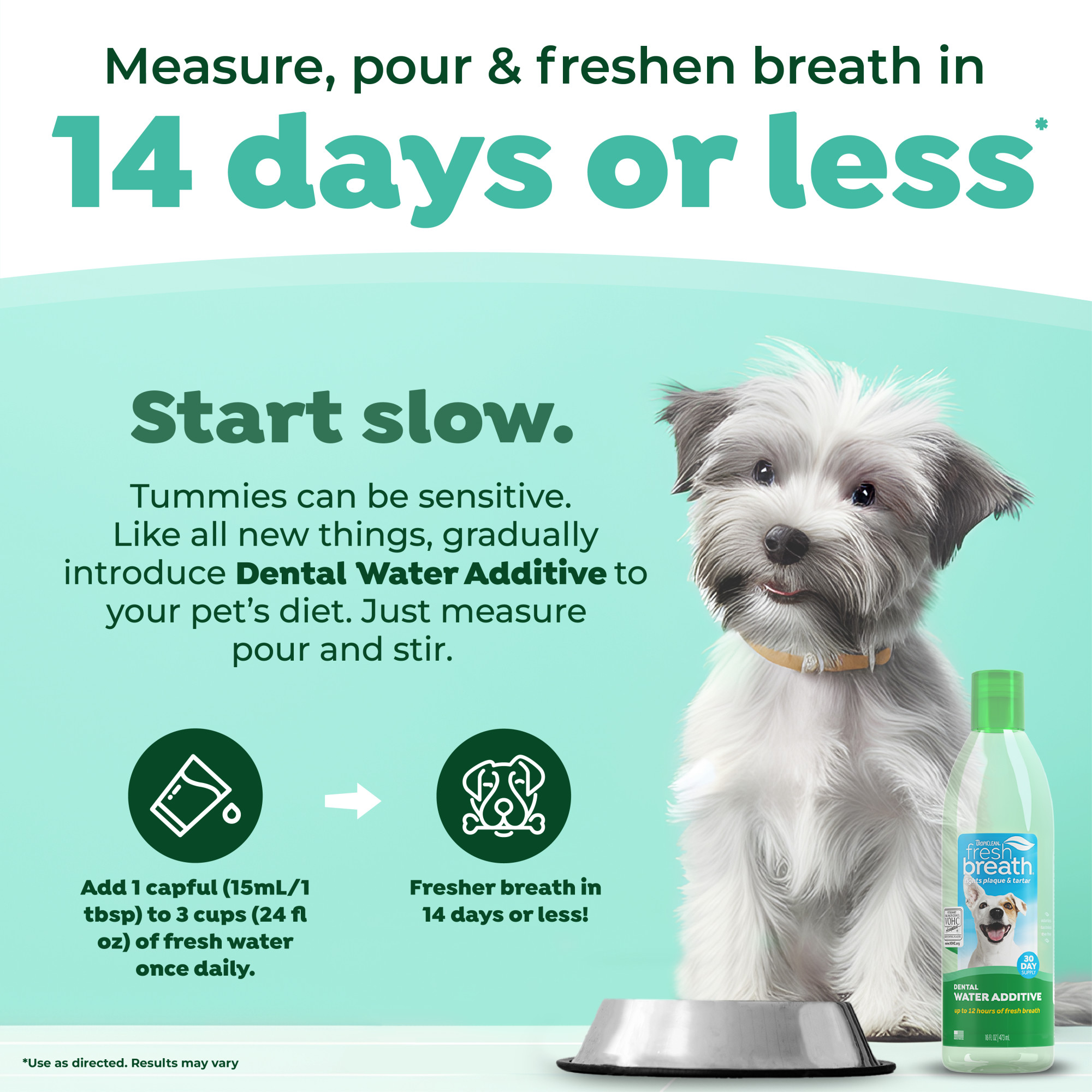 Dental Health Solution for Dogs