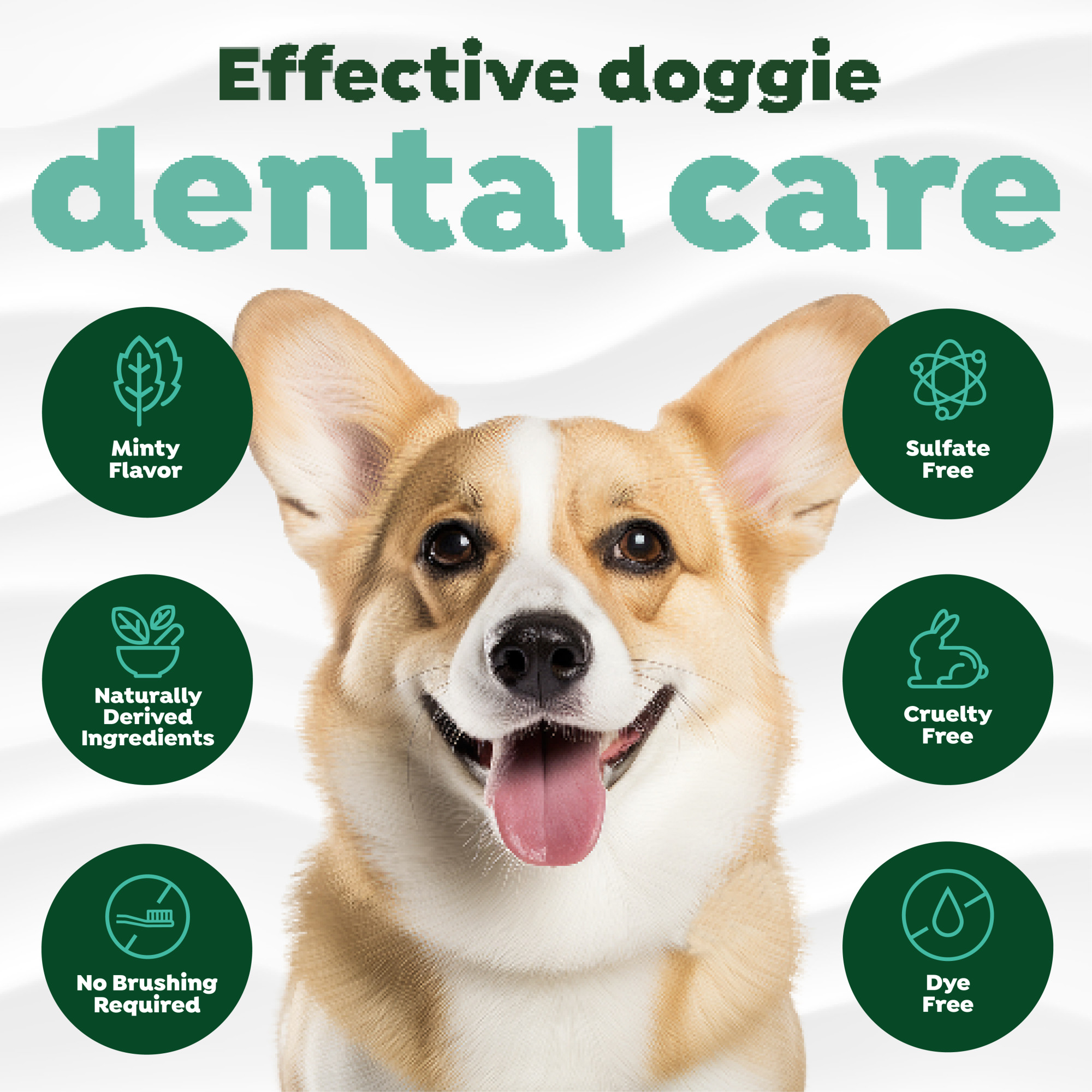 No-Brushing Total Care Kit for Dogs