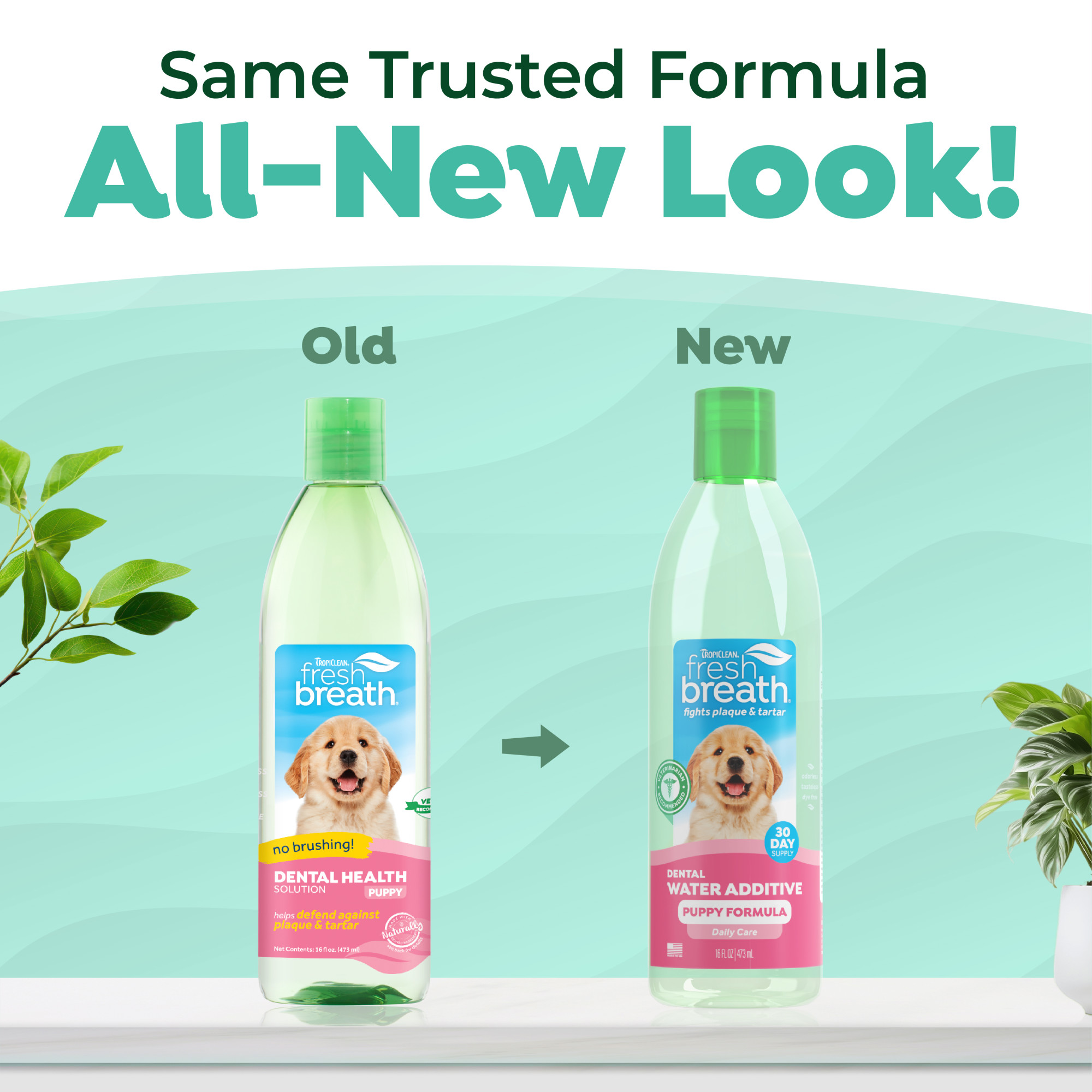 Dental Water Additive for Puppies