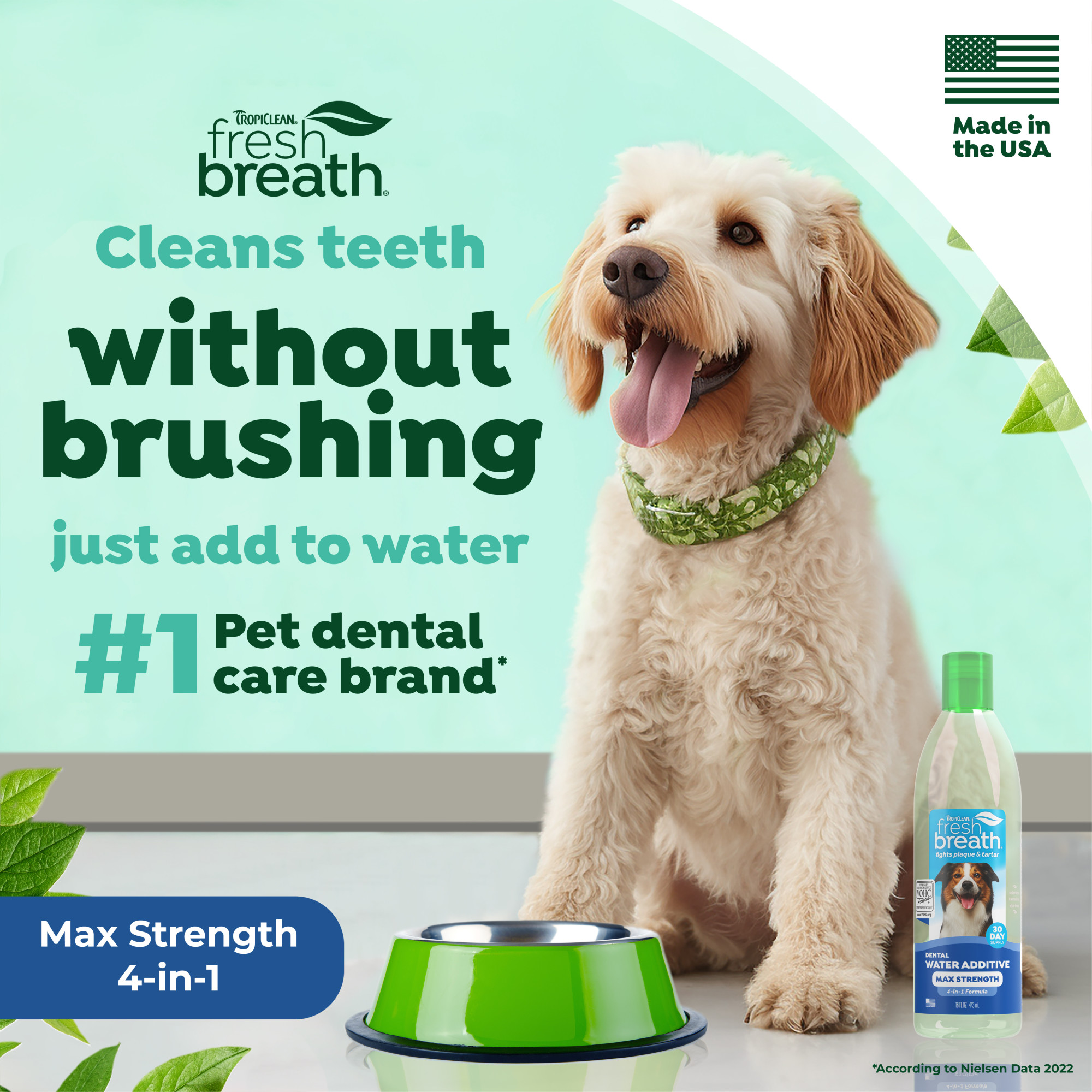 Max Strength Dental Water Additive for Dogs
