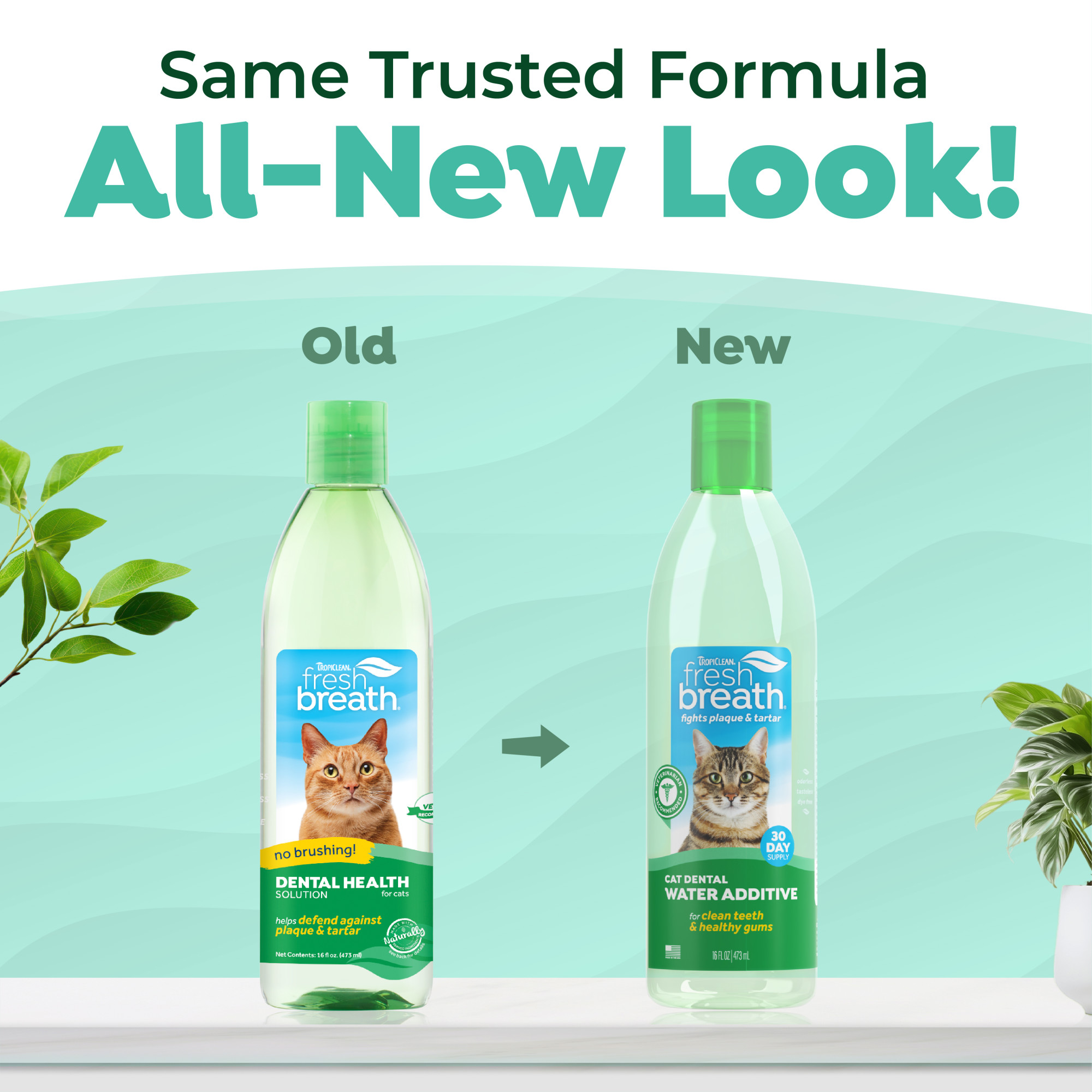 Dental Water Additive for Cats
