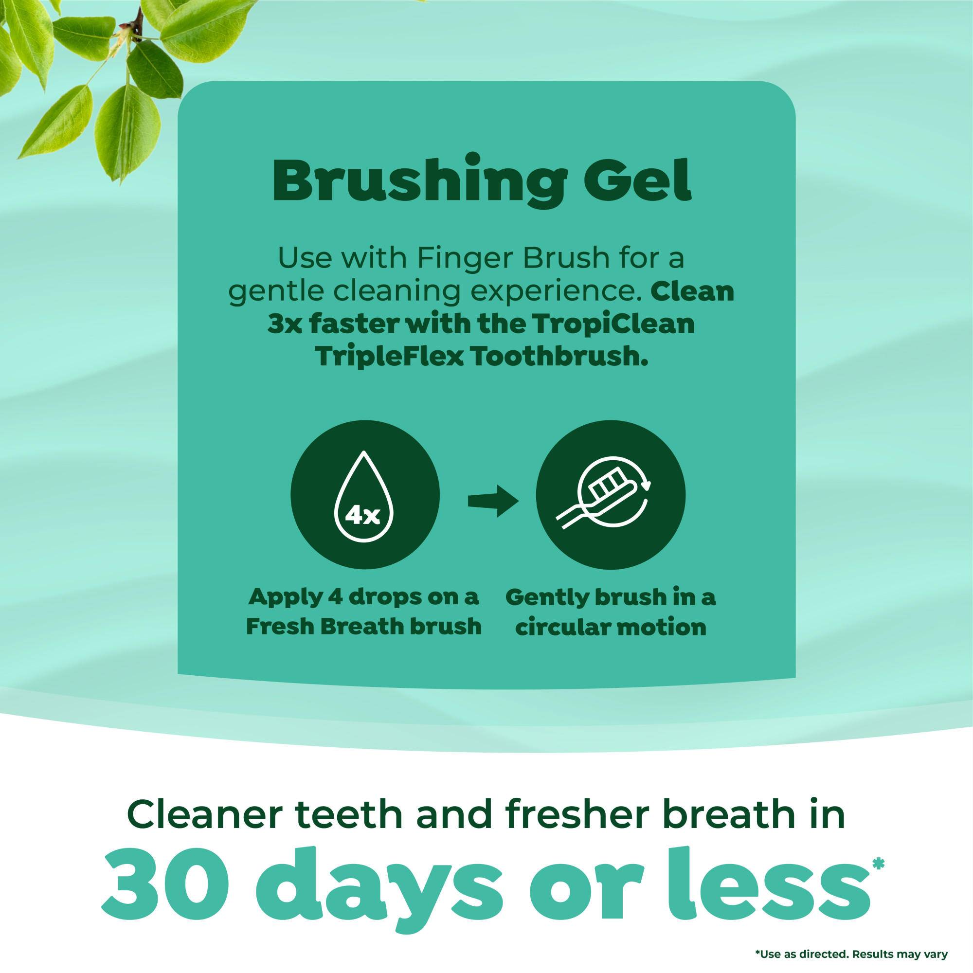 Oral Care Kit for Large Dogs