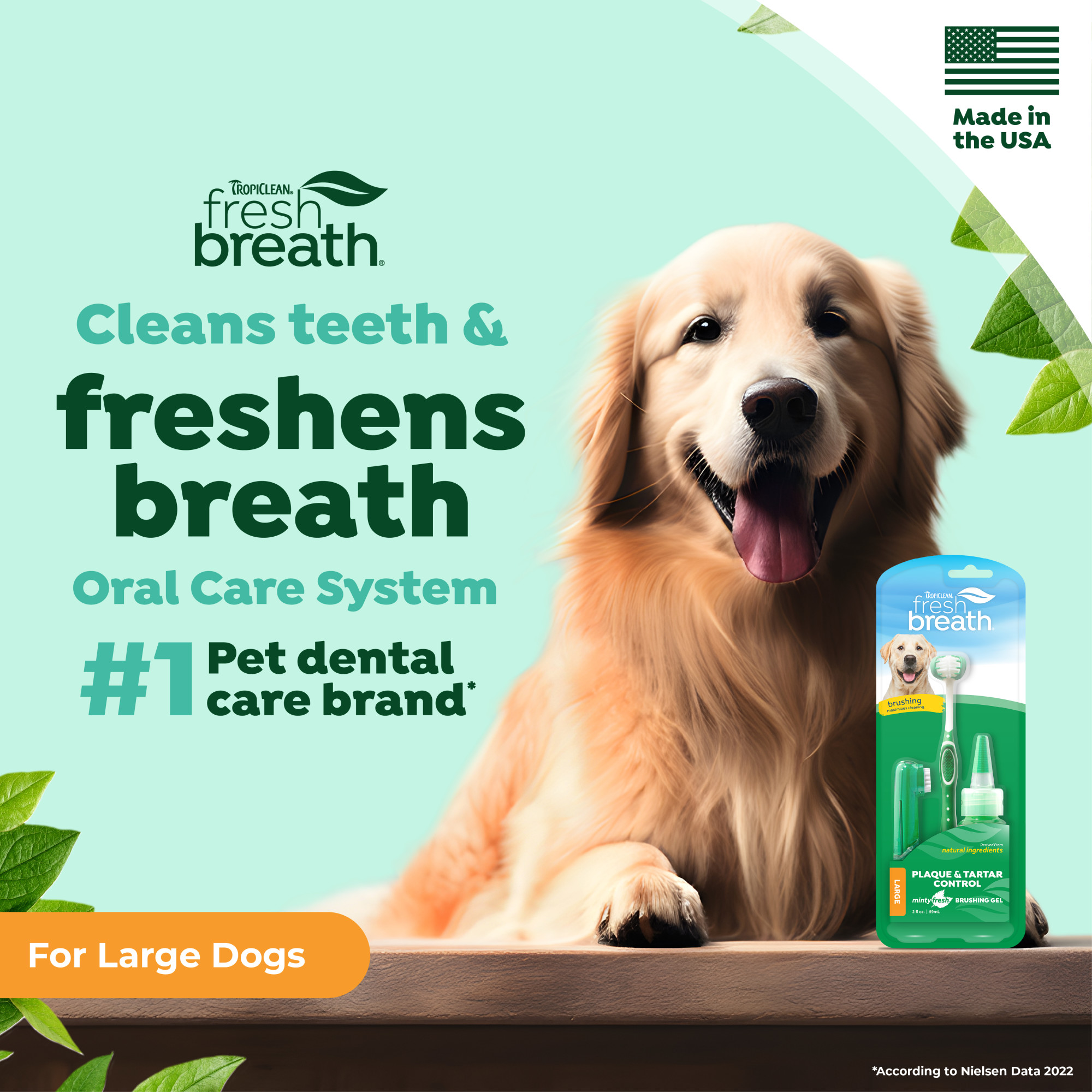 Oral Care Kit for Large Dogs
